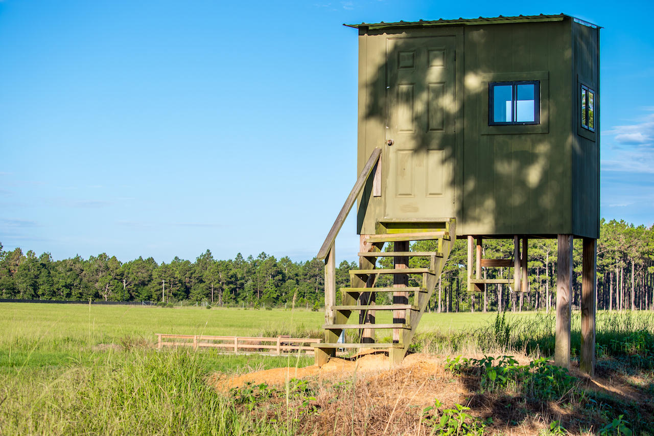 Magnolia Ranch - Farm