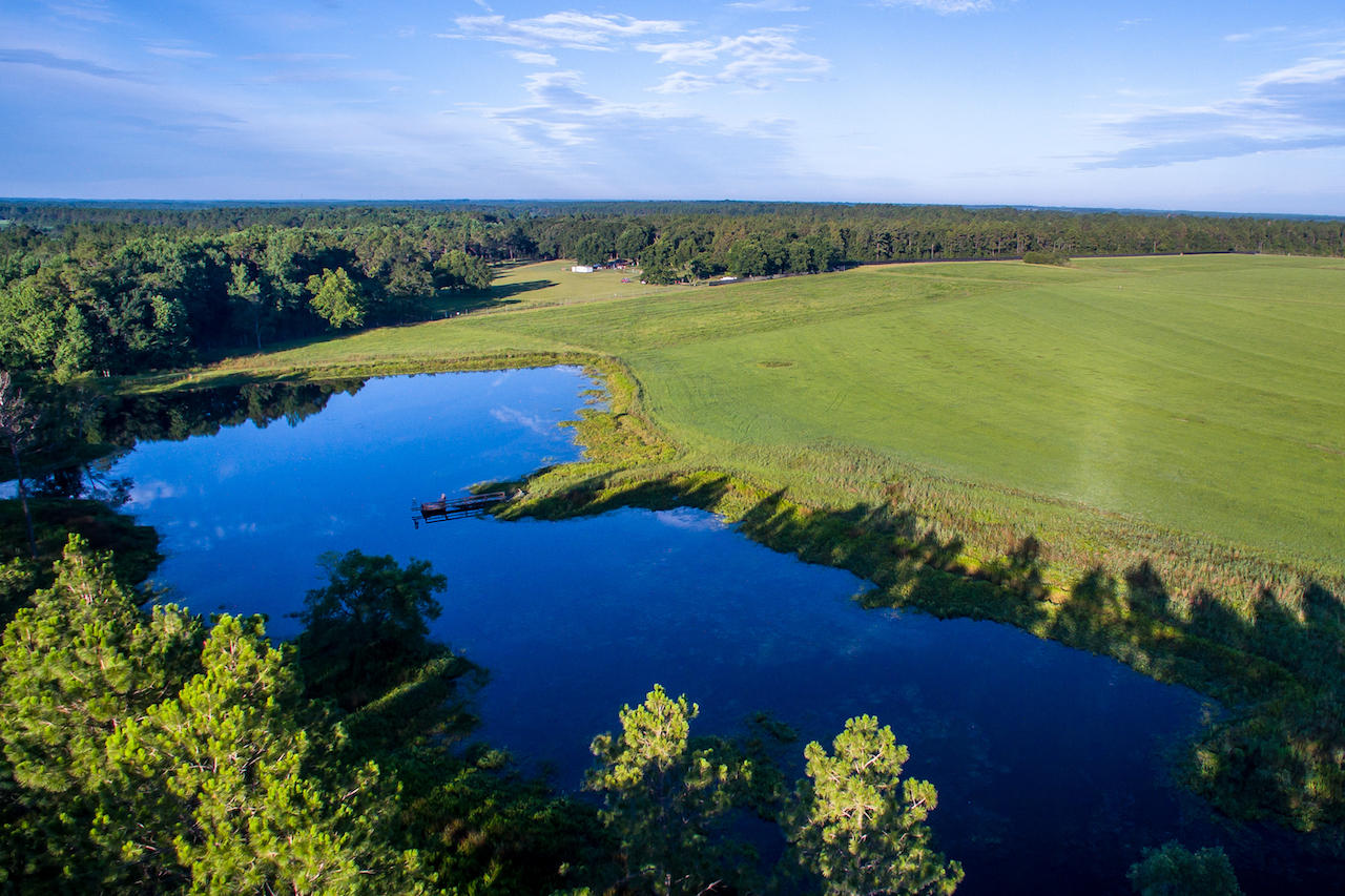 Magnolia Ranch - Farm