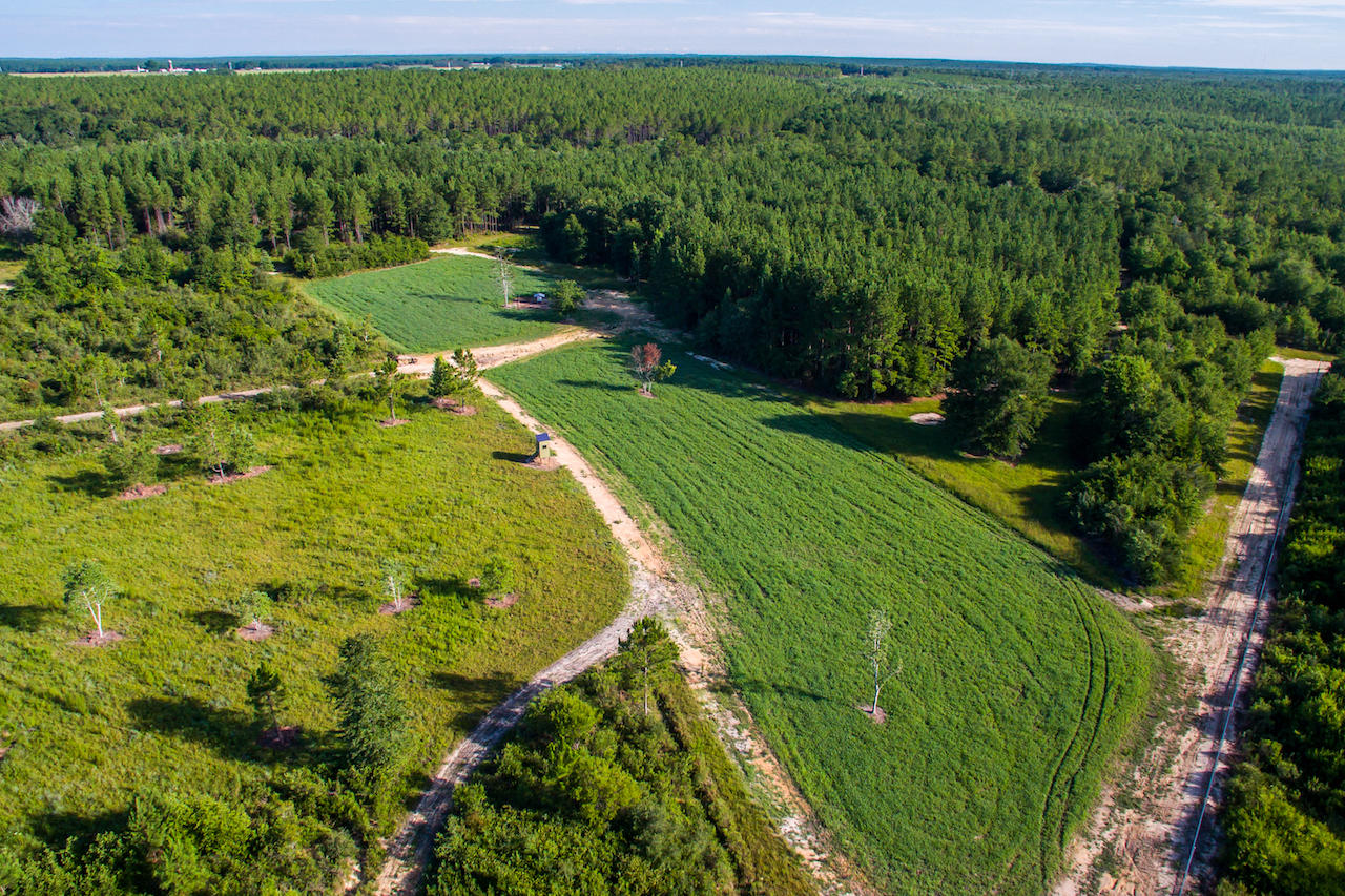 Magnolia Ranch - Farm