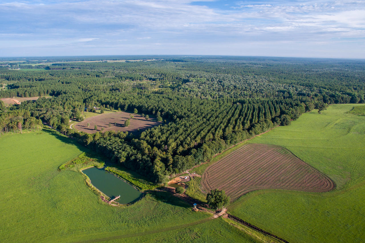 Magnolia Ranch - Farm