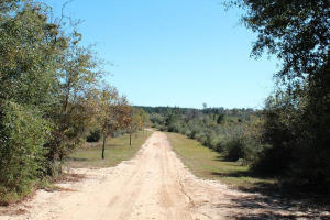 Magnolia Ranch - Farm