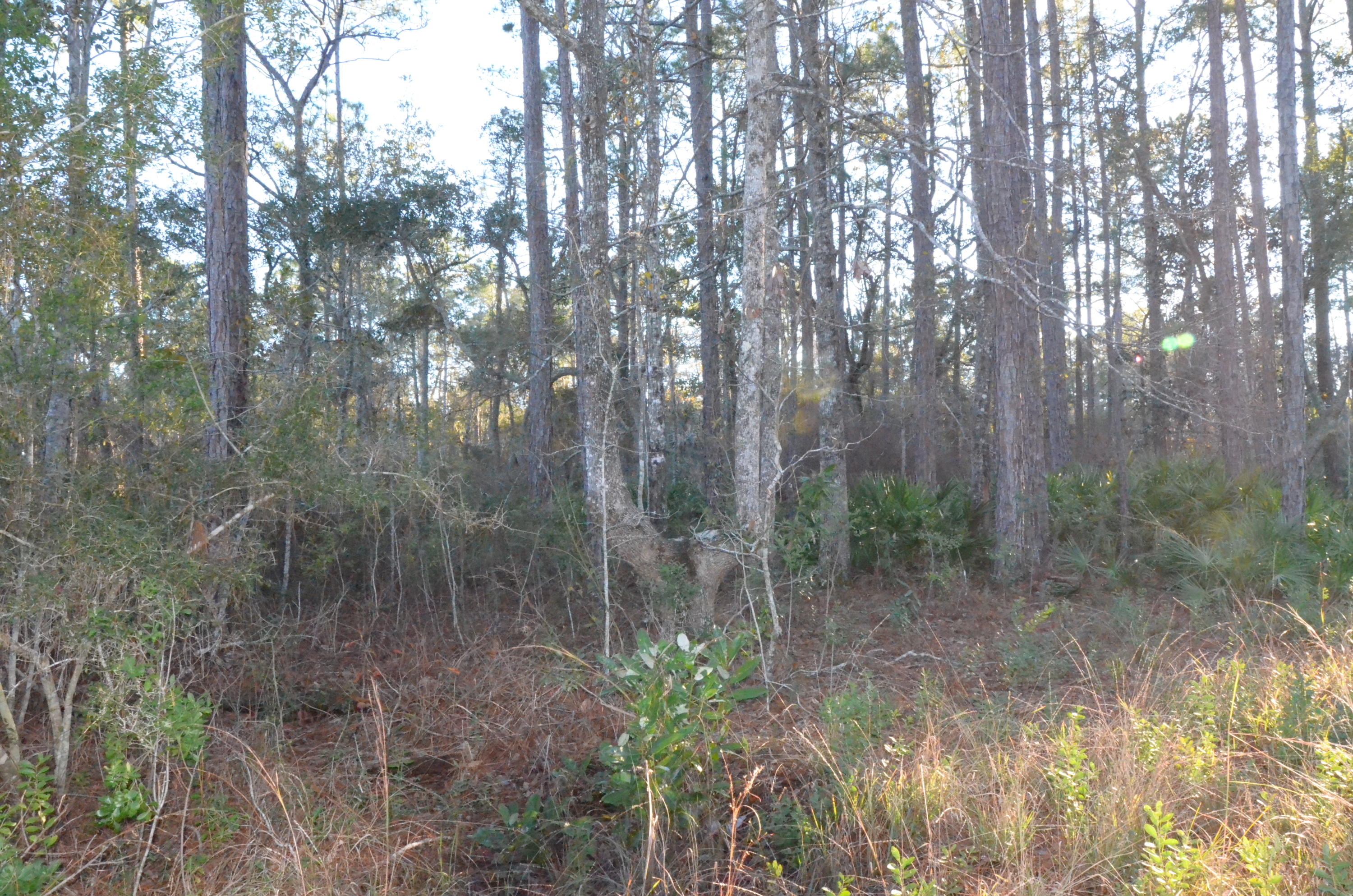 Great waterfront lot in a quiet community in growing Freeport. Close to walking/biking trails, Freeport sports complex, and just a short drive to the Gulf of Mexico.