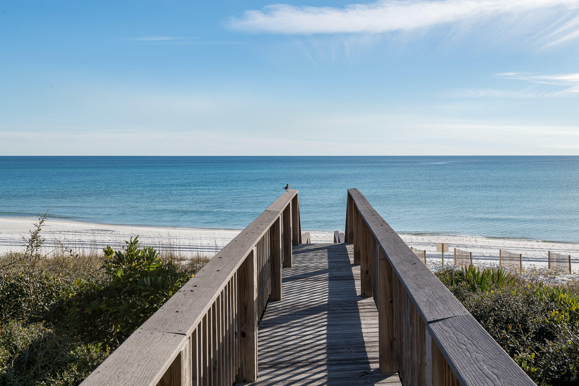 INLET BEACH - Residential