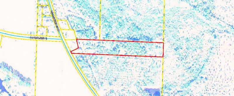 THIS WOODED 18+/- ACRES HAS TWO ZONINGS. 4+/- ACRES ON 331 HAS COMMERCIAL ZONING AND THE REMAINING HAS A ZONING OF GENERAL AG. OWNER HAS IMROVED ROAD ENTRY AND INSTALLED NEW CULVERTS OVER CREEK. VERY NICE TIMBER TRACT IN BETWEEN PAXTON AND DEFUNIAKS SPRINGS. BUYER TO VERIFY EXACT ACREAGE WITH CERTIFIED SURVEY. AGENT IS RELATED TO SELLER.