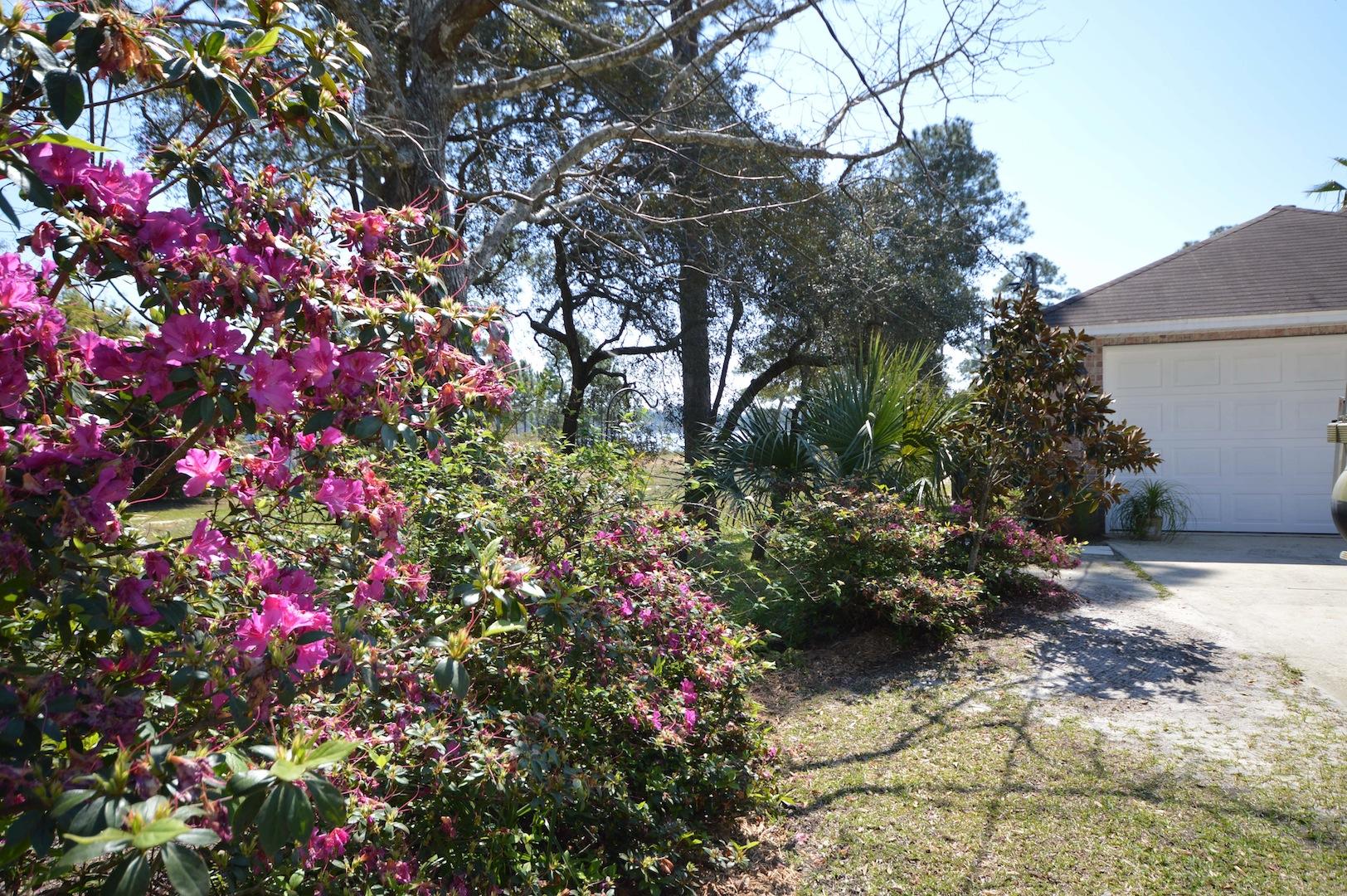 WELLS S/D - Residential