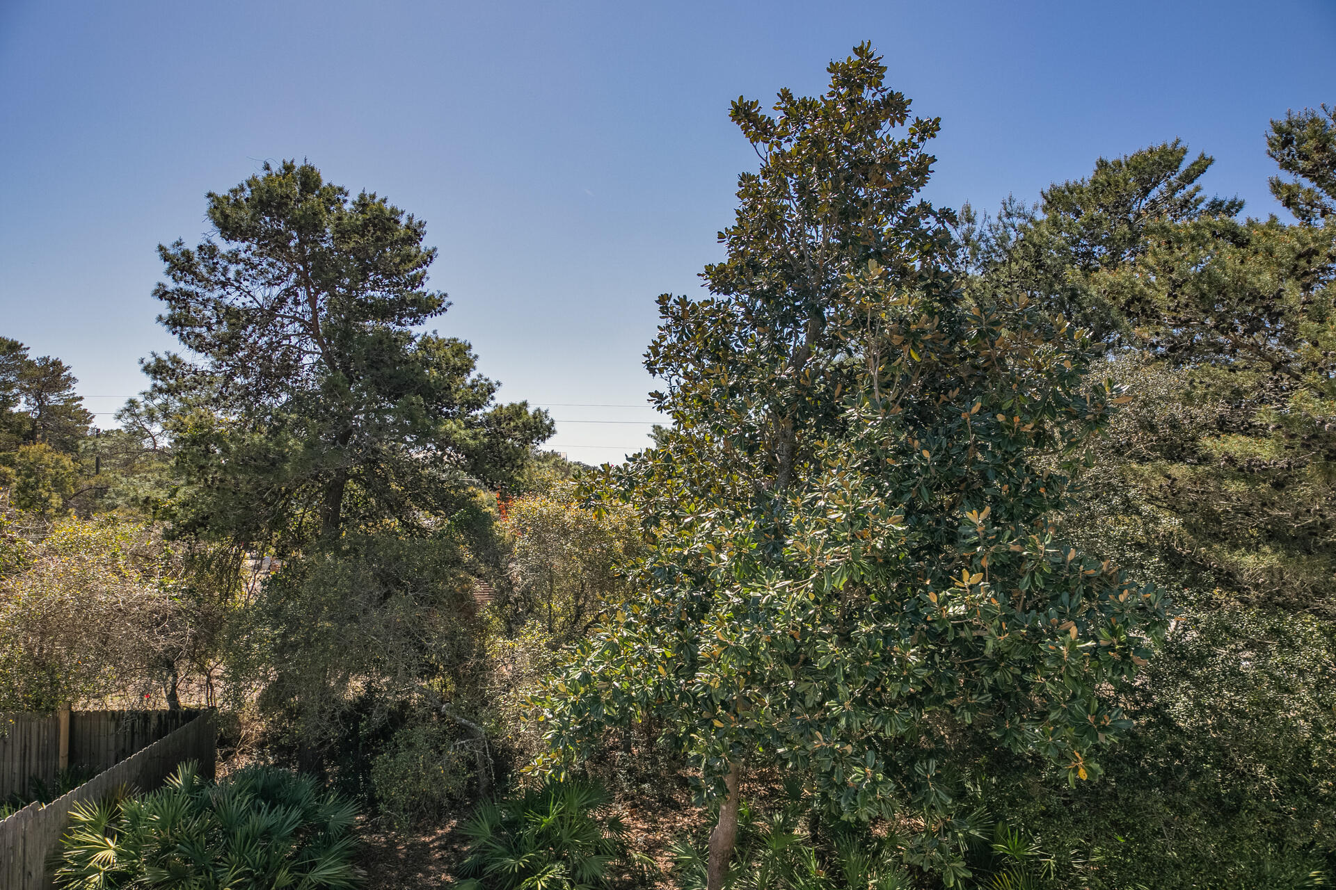 GULFVIEW HEIGHTS - Residential
