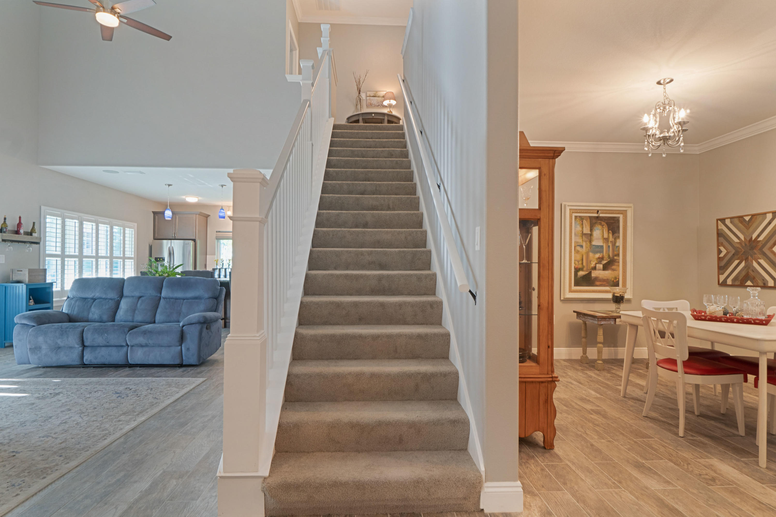 PALMETTO LAKE PRESERVE - Residential