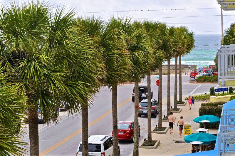 Six Palms - Residential