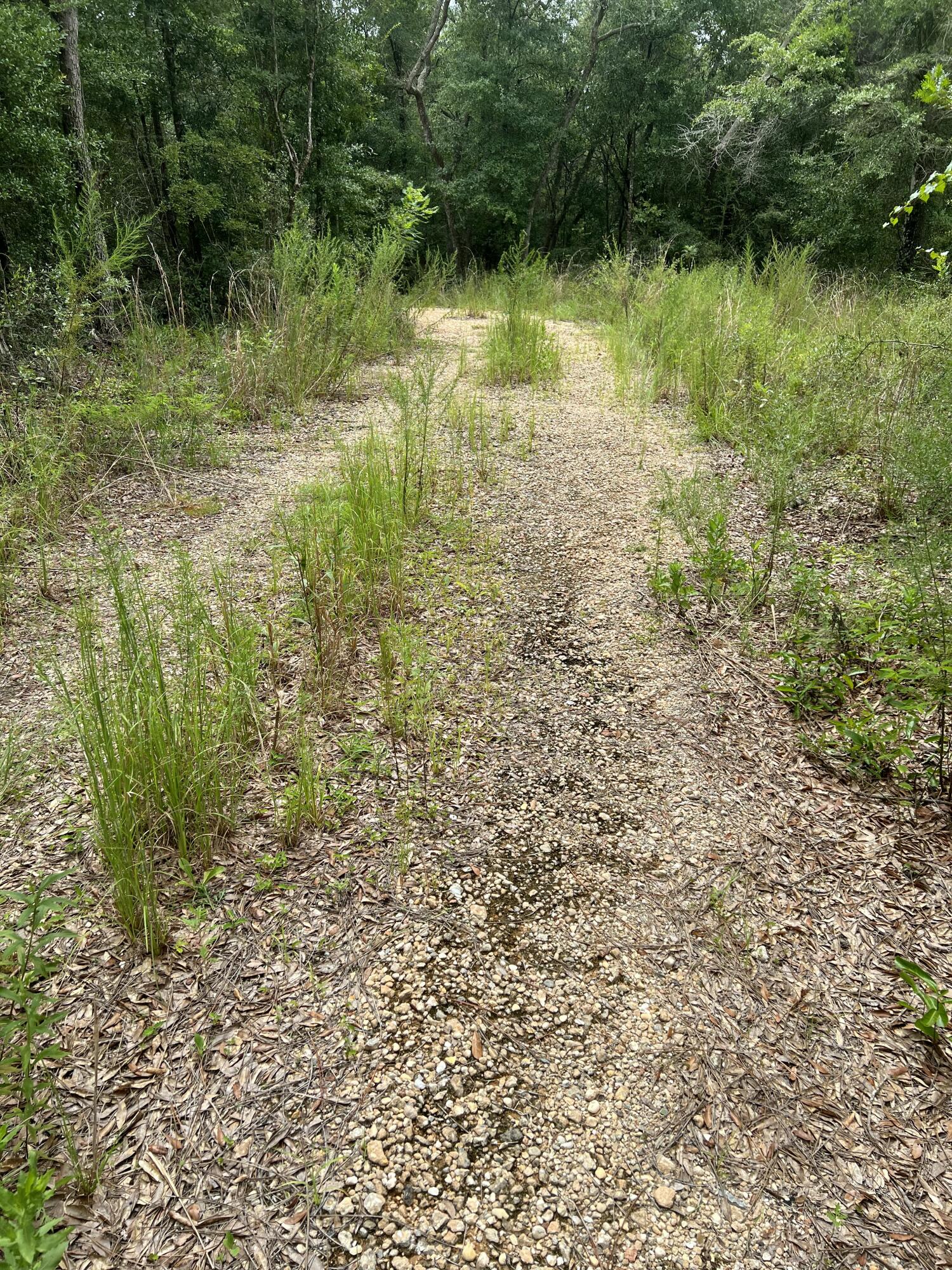 Parcels 58 and 59, Metes and Bounds - Land