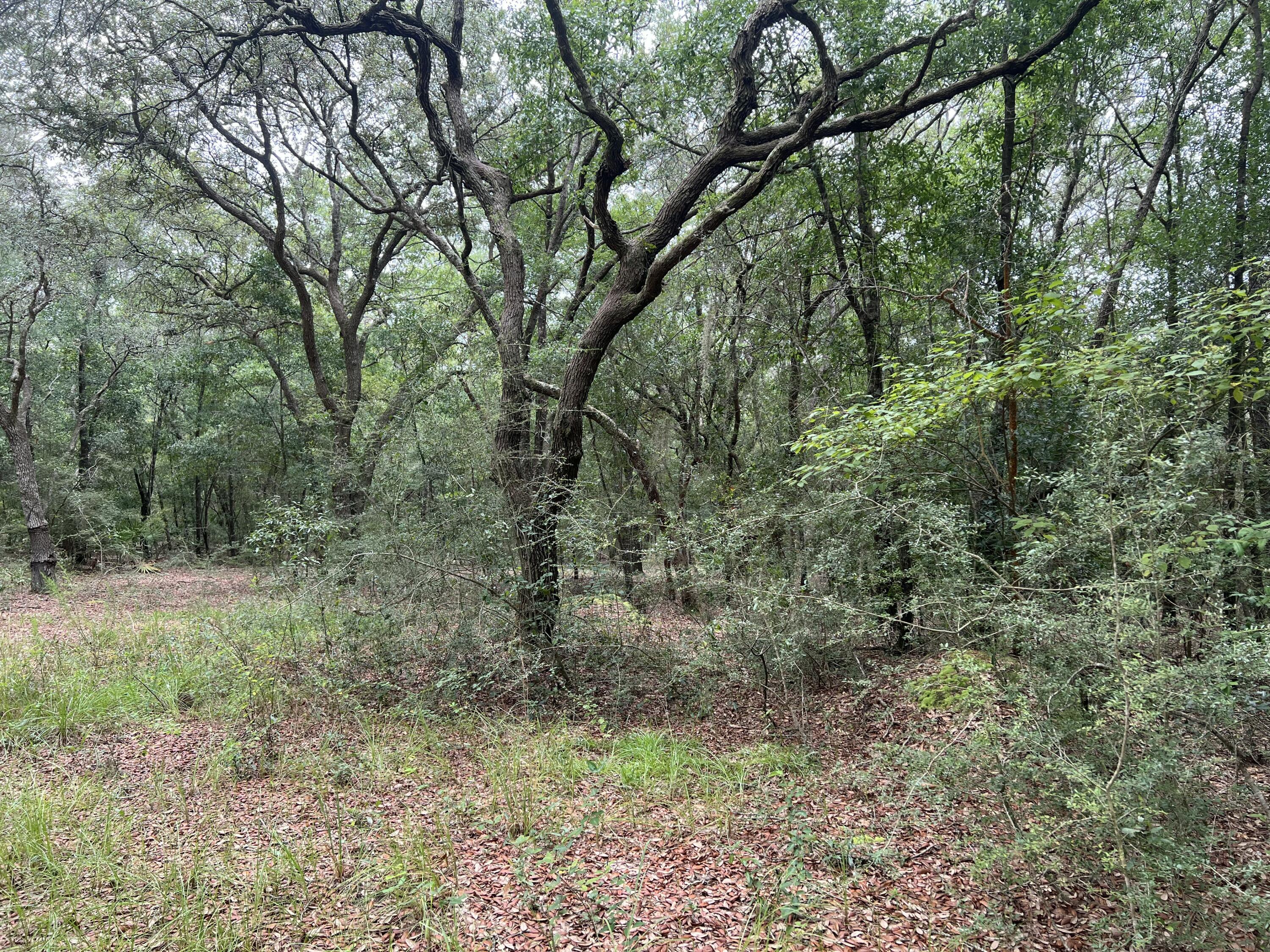 Parcels 58 and 59, Metes and Bounds - Land