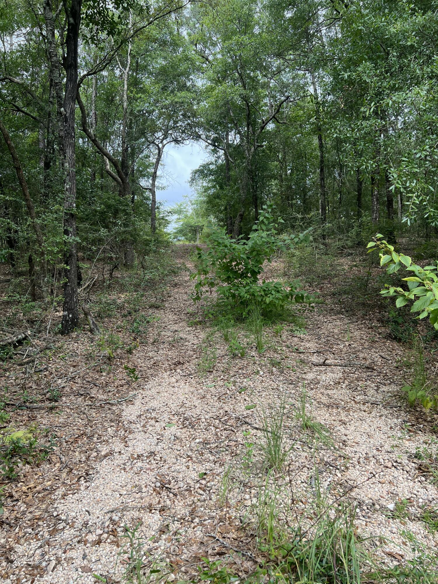 Parcels 58 and 59, Metes and Bounds - Land