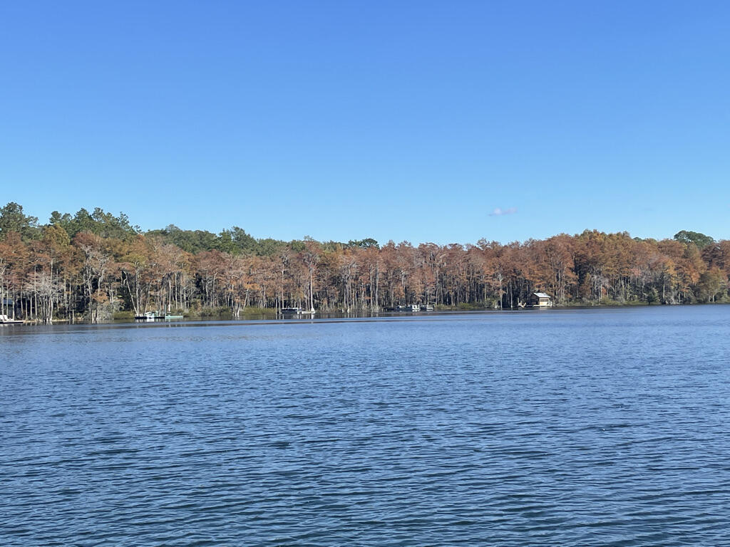 Beautiful wooded waterfront lot on scenic Blue Pond. Big bass, dinner plate size Bream, quiet and peaceful. Blue Pond is almost 50 acres in size. Great for swimming, snorkeling or scuba diving. Covenants & Restrictions. No mobiles allowed.