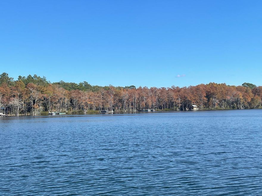 Beautiful wooded waterfront lot on scenic Blue Pond.    Big bass, dinner plate size Bream,  quiet and peaceful.  Blue Pond is almost 50 acres in size.  Great for swimming, snorkeling or scuba diving. Covenants & Restrictions.  No mobiles allowed.