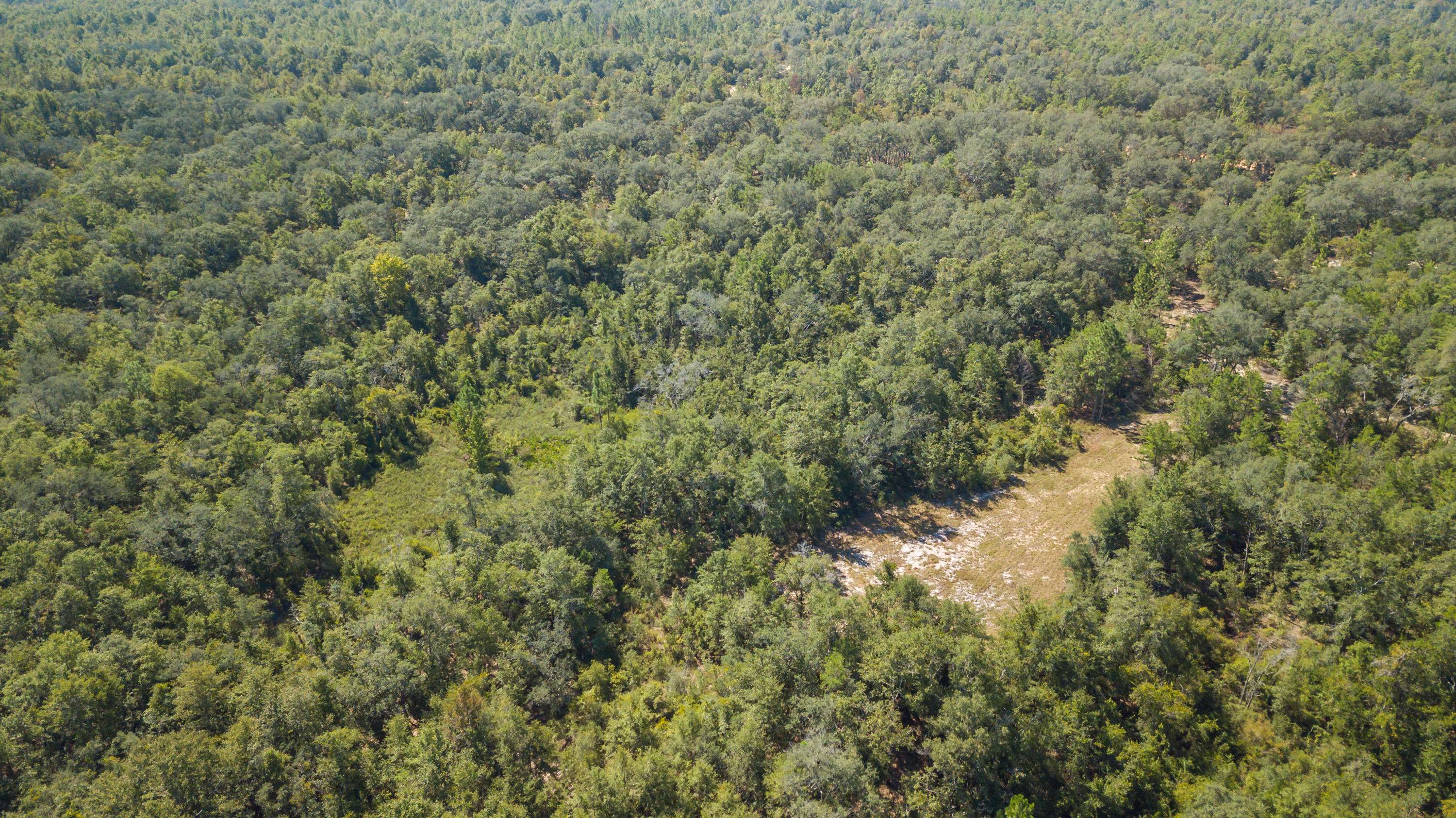 Metes and Bounds - Land