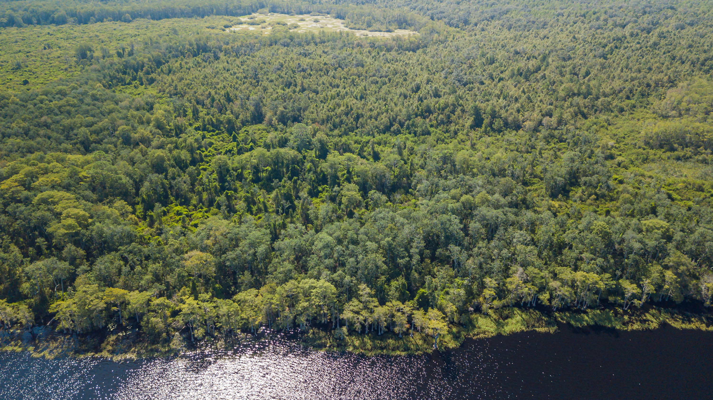 Metes and Bounds - Land