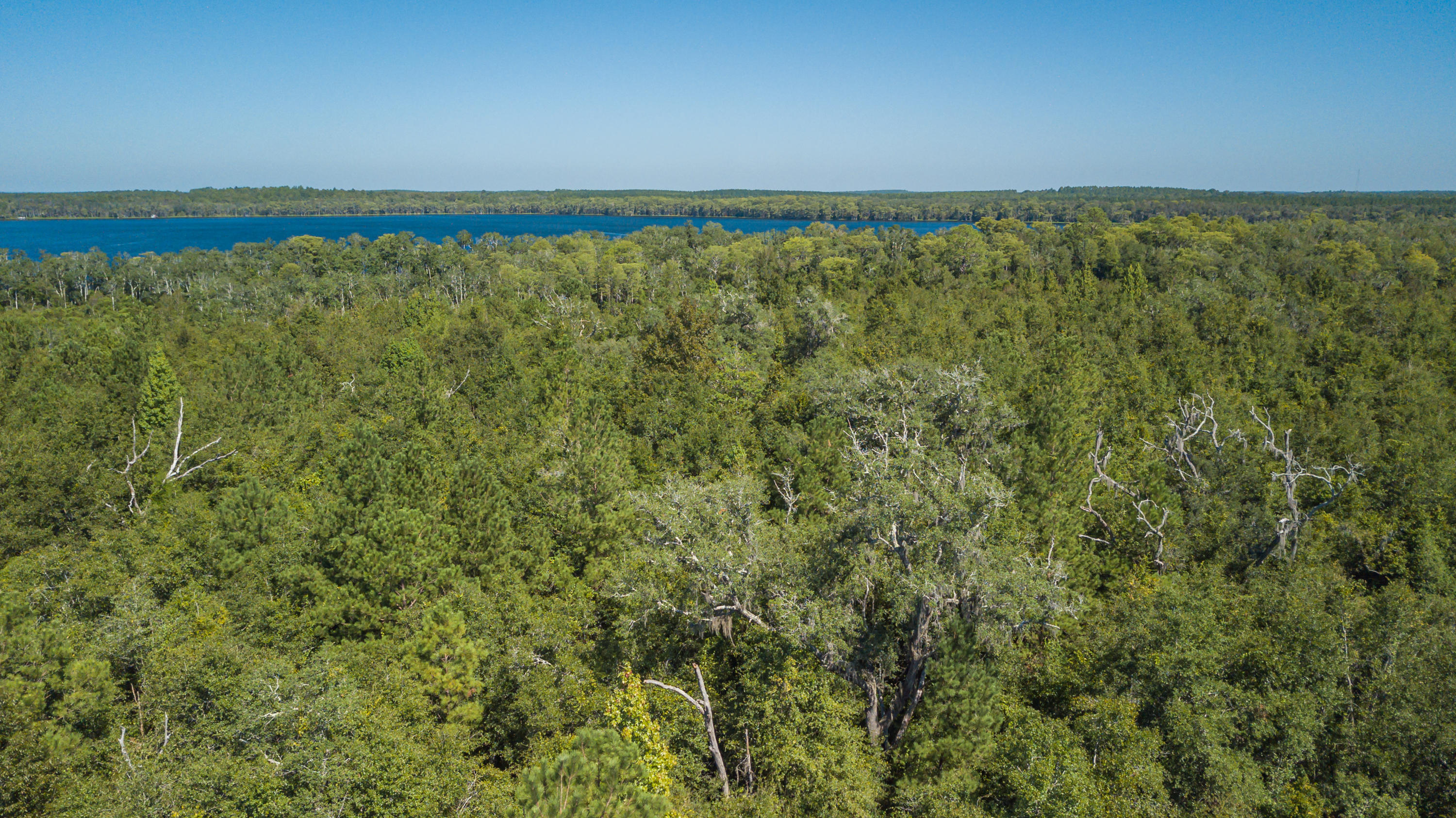 Metes and Bounds - Land