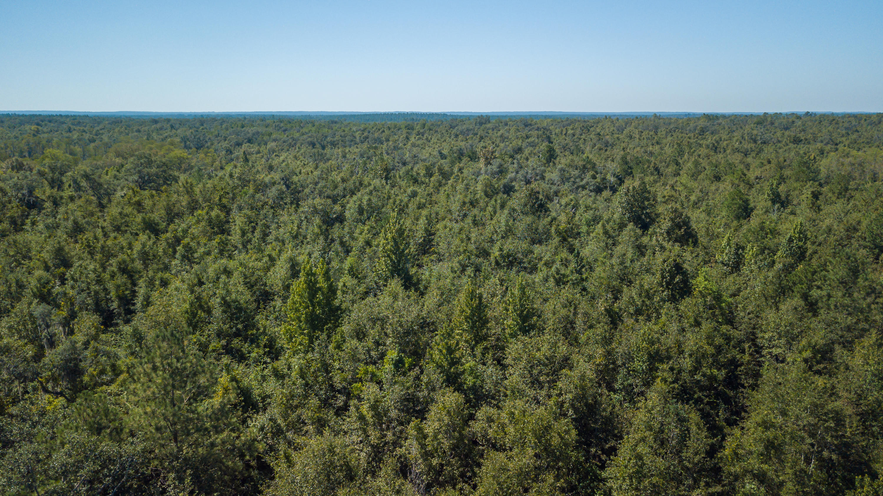 Metes and Bounds - Land