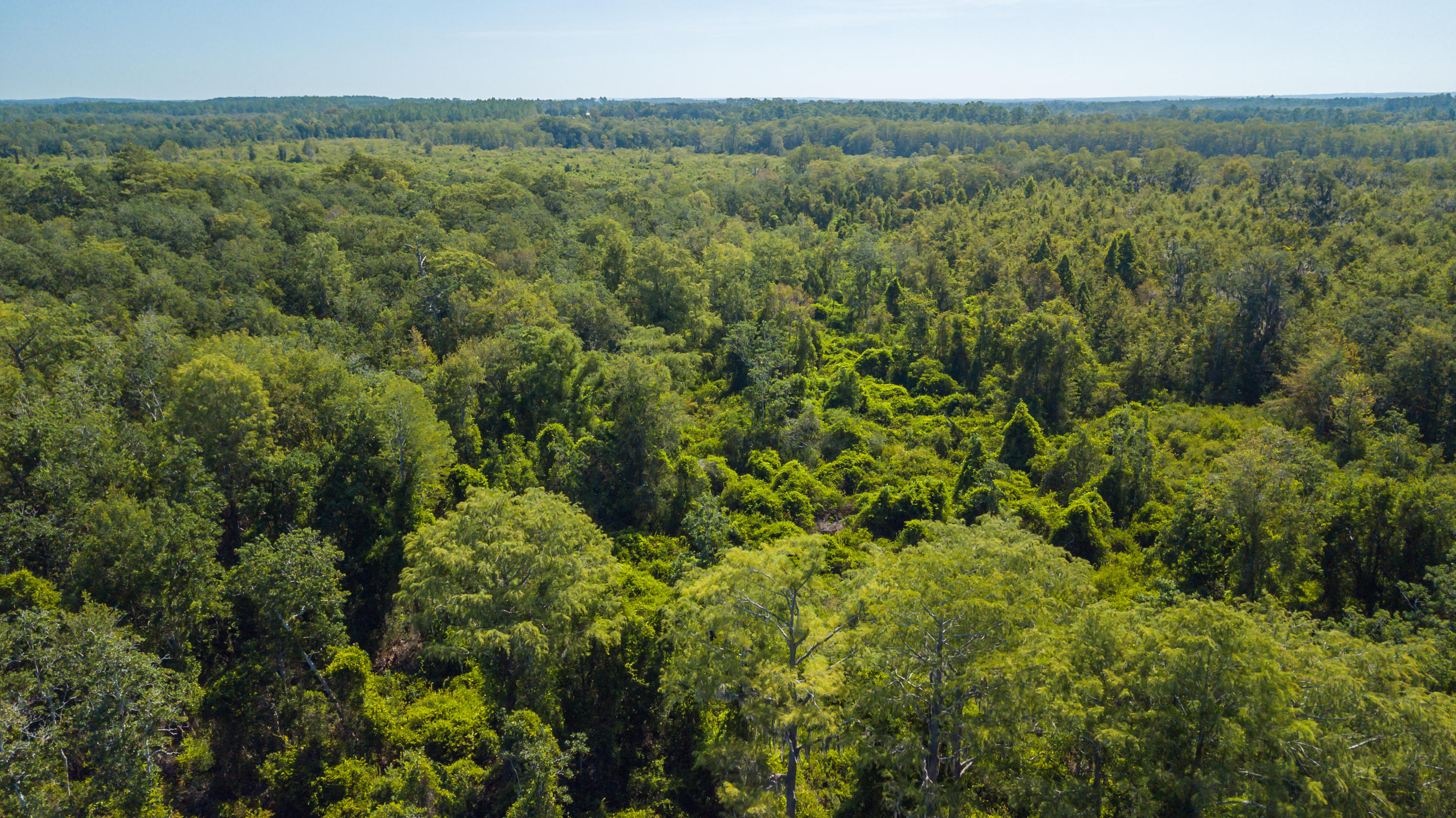 Metes and Bounds - Land