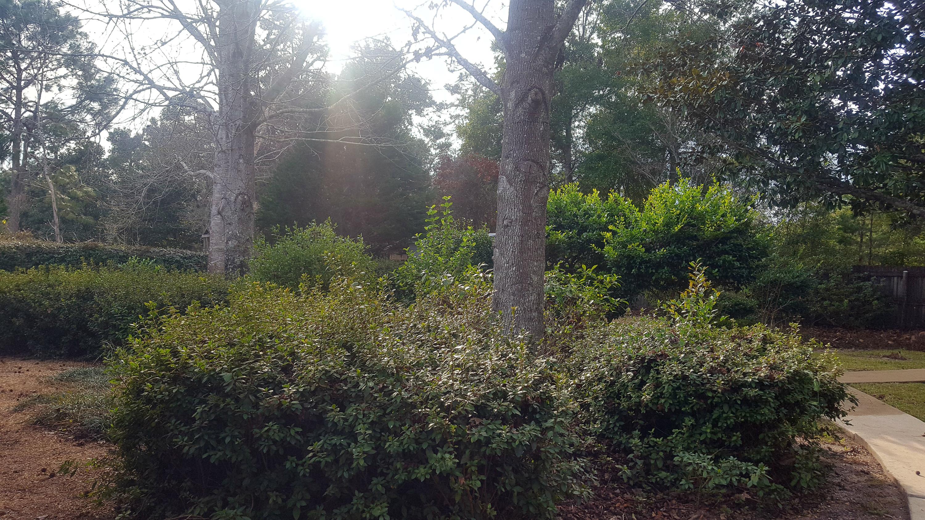 Woodlands PH4 - Residential Lease