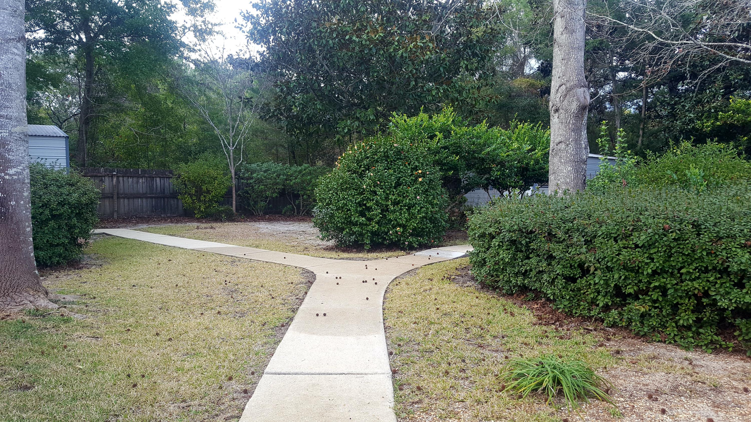 Woodlands PH4 - Residential Lease