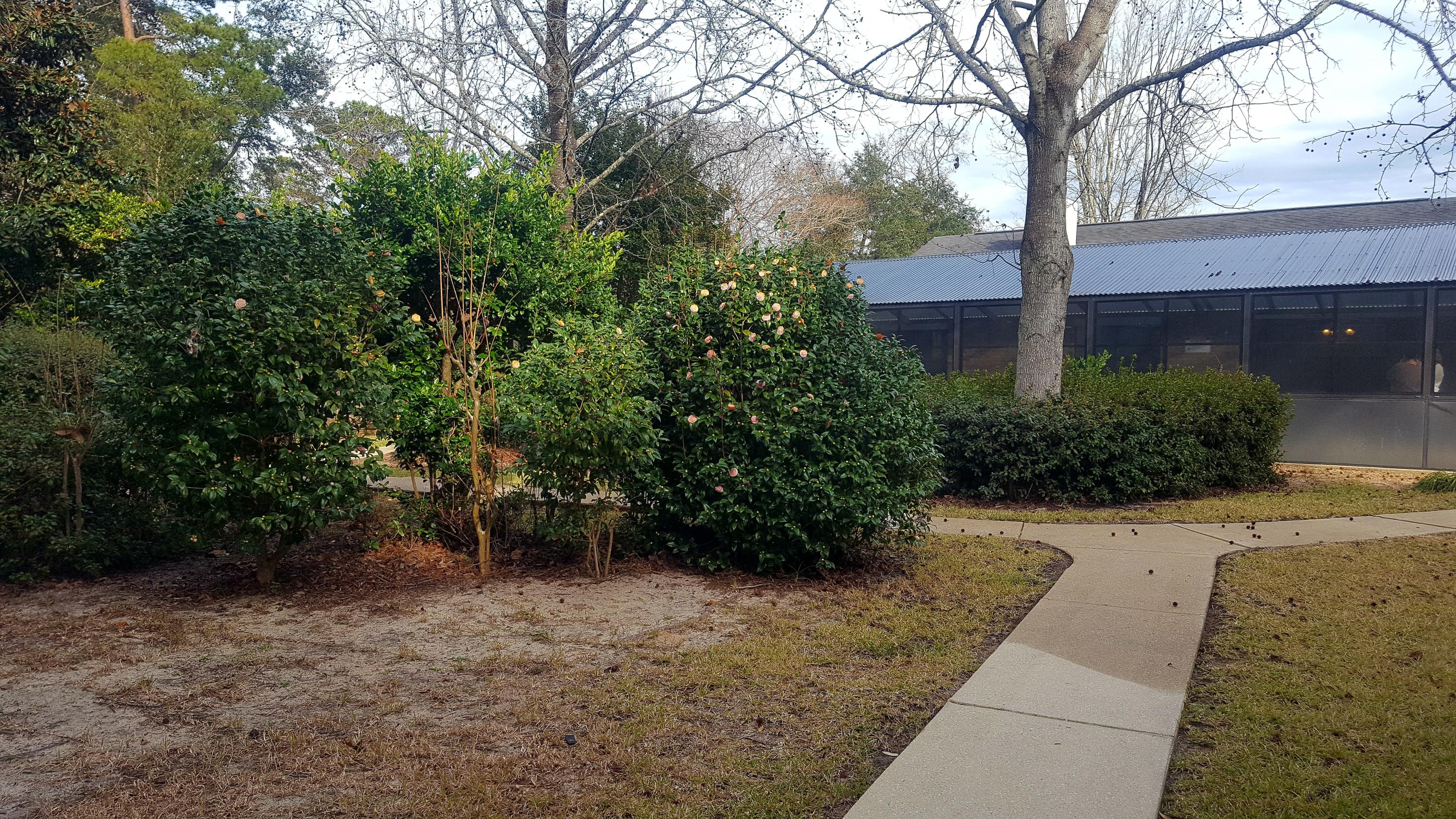 Woodlands PH4 - Residential Lease