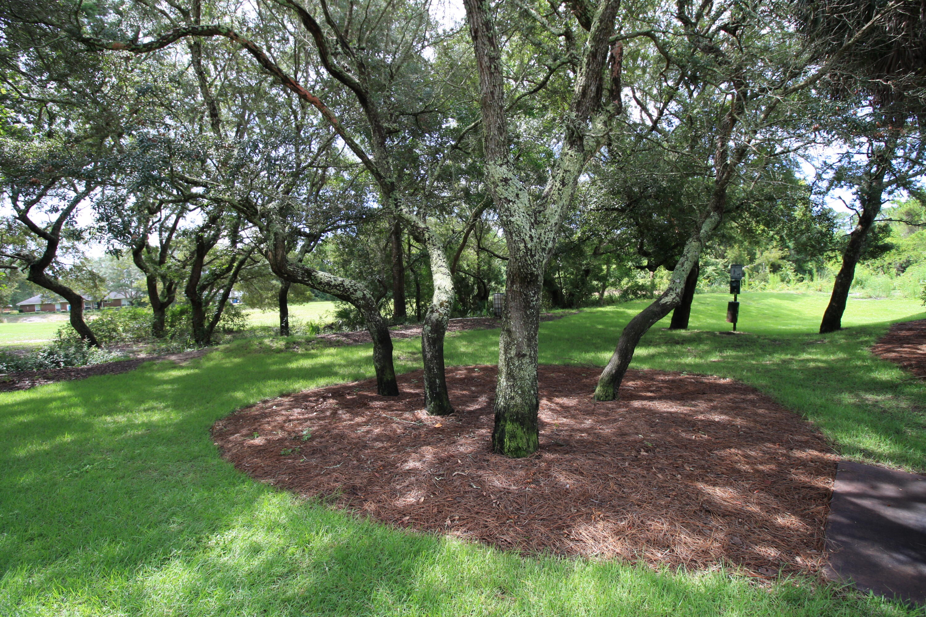 THE FLORIDA CLUB - Residential