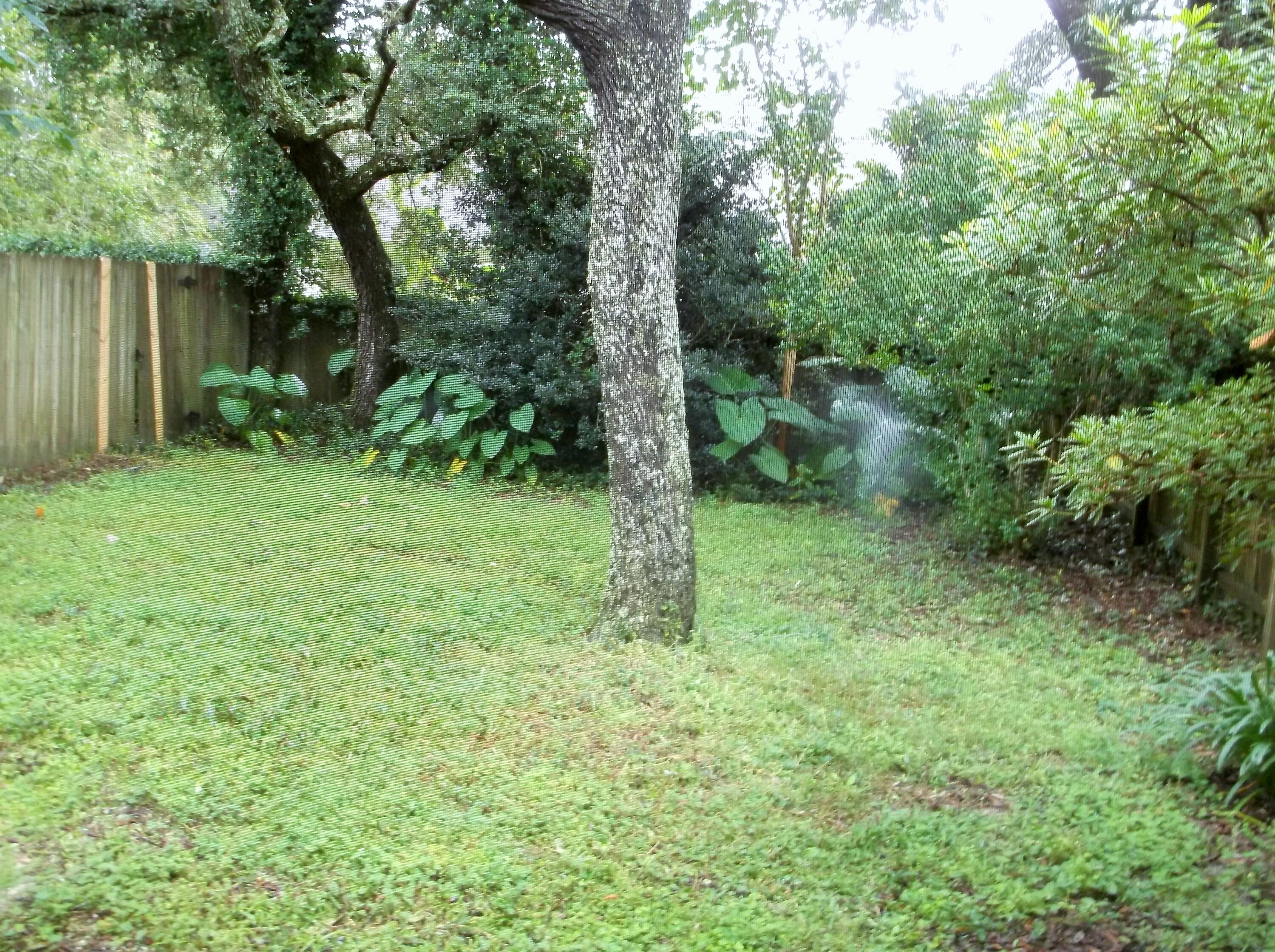 SHANYN TAYLOR OAKS - Residential Lease