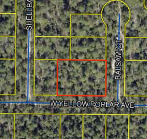 Wooded Double Lot in a Fast growing area with No HOA and Minimal Restrictions. Modular homes allowed. Easy access to the I-10 & CR 285 south making it a great location.Zoning is Rural Residential which allows Single family residential, No mobile homes shall be erected on any of the lots in Oakwood Hills, Unit 2. The lot is raw , no tap in fees have been paid, septic needed.
