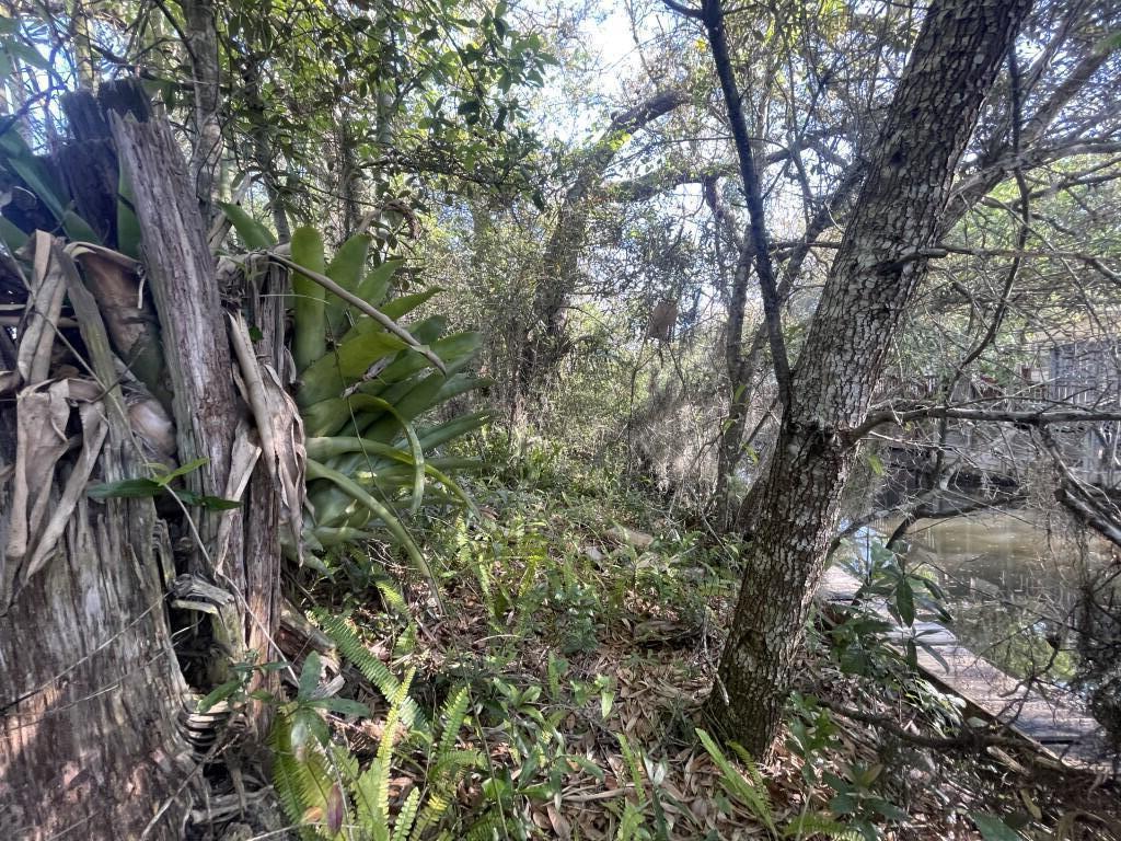 TURQUOISE BEACH 3RD ADDN - Residential