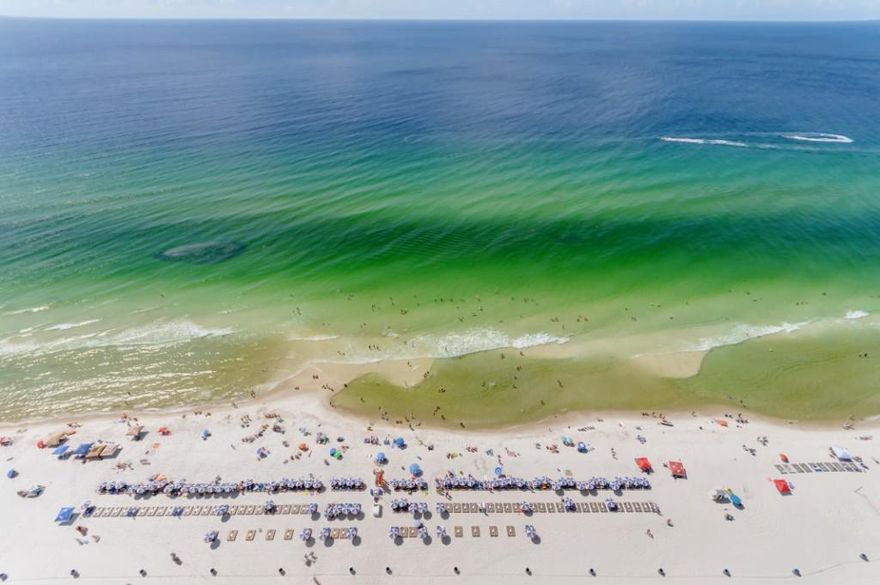 If spectacular views from your beach condo are a MUST HAVE, then this Penthouse Unit at Tidewater Beach Resort is a MUST SEE!! Unit 2907 is a 1 bedroom/2 bath with hallway bunks ''F'' Plan 849 sf unit featuring open living floor plan, tile flooring throughout, stainless appliances in the kitchen, and much more! Tidewater Beach is a premier resort on the Emerald Coast! Contact us today to see this beach beauty!