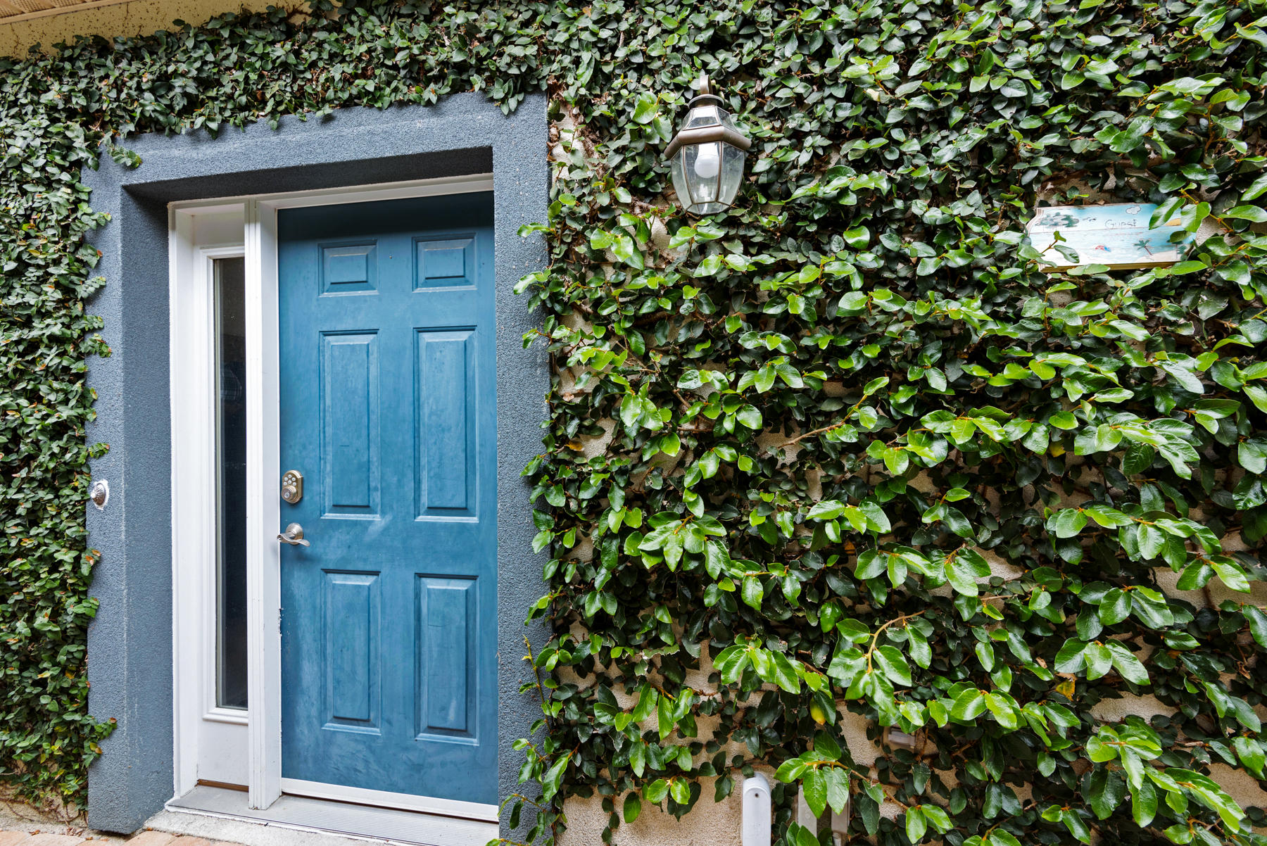 PINES OF BLUE MOUNTAIN - Residential