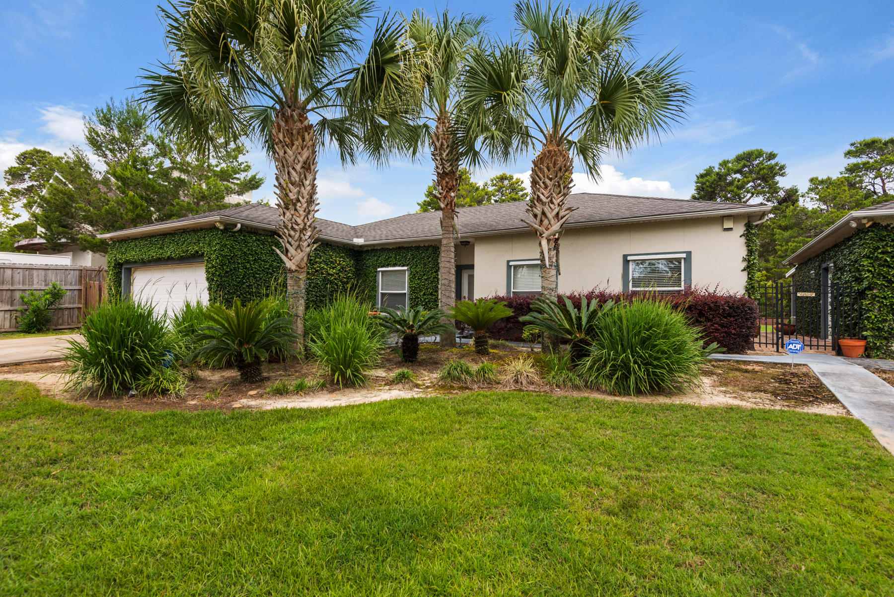 PINES OF BLUE MOUNTAIN - Residential