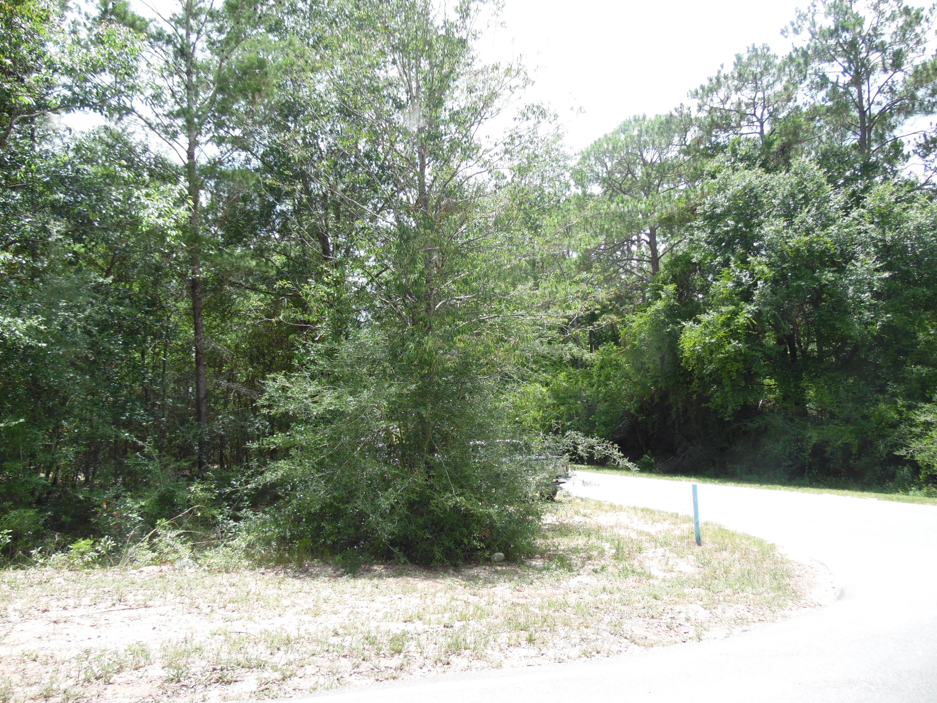 LAKE JUNIPER ESTATES UNIT 3 - Land