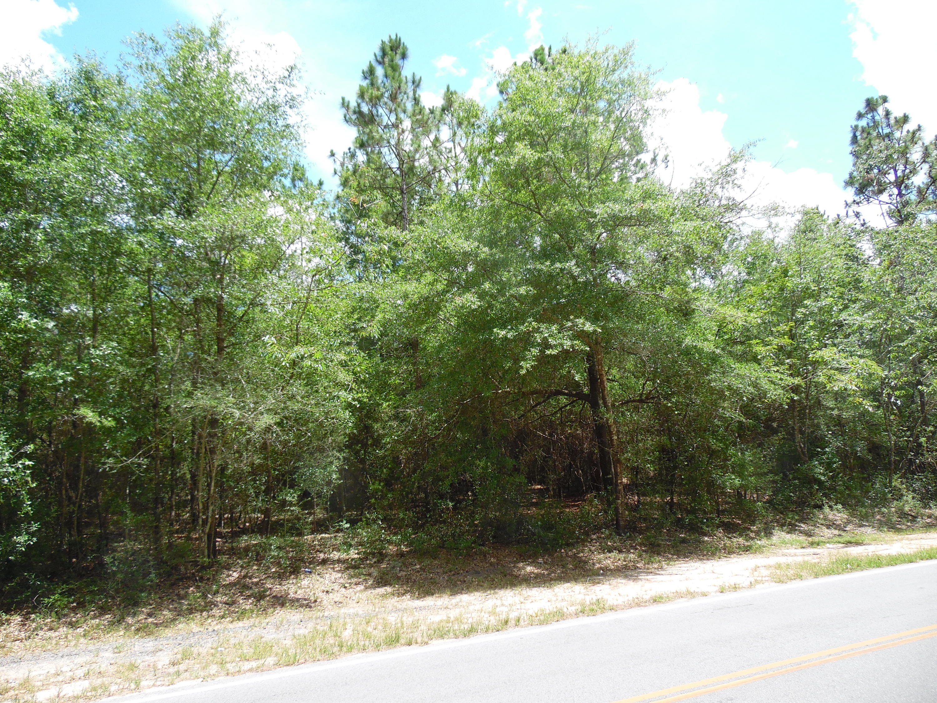 LAKE JUNIPER ESTATES UNIT 3 - Land