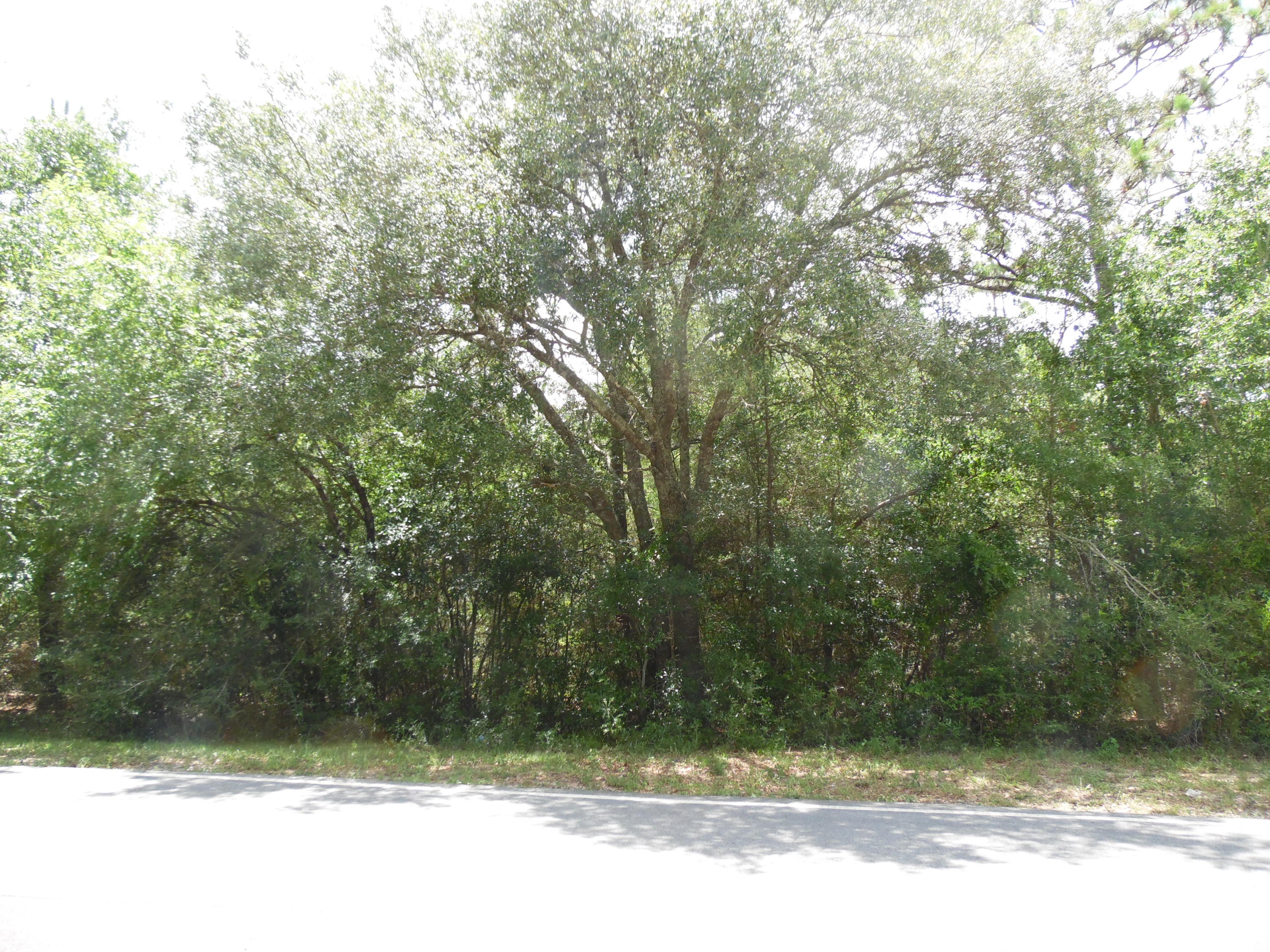 LAKE JUNIPER ESTATES UNIT 3 - Land