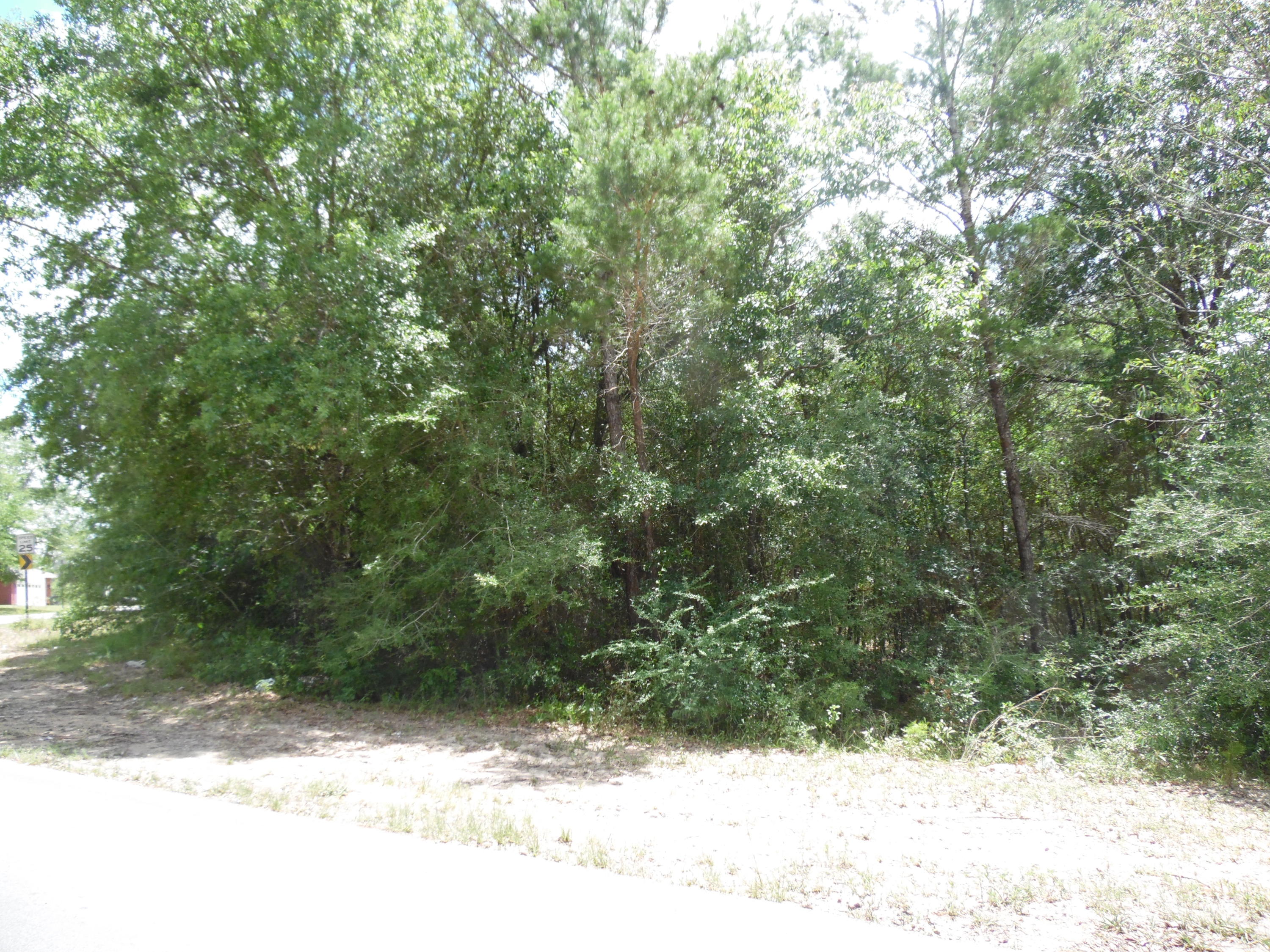 LAKE JUNIPER ESTATES UNIT 3 - Land