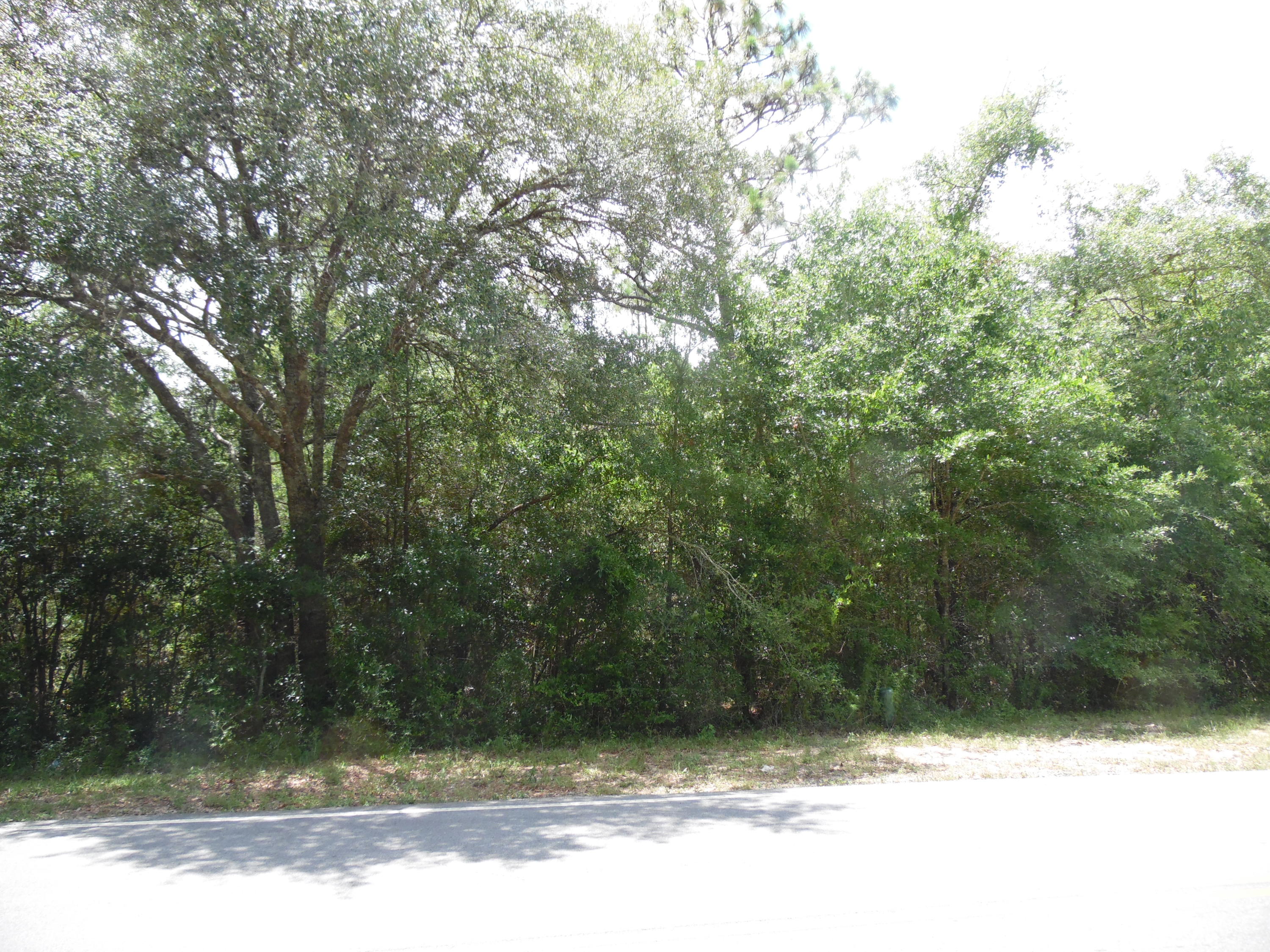 LAKE JUNIPER ESTATES UNIT 3 - Land