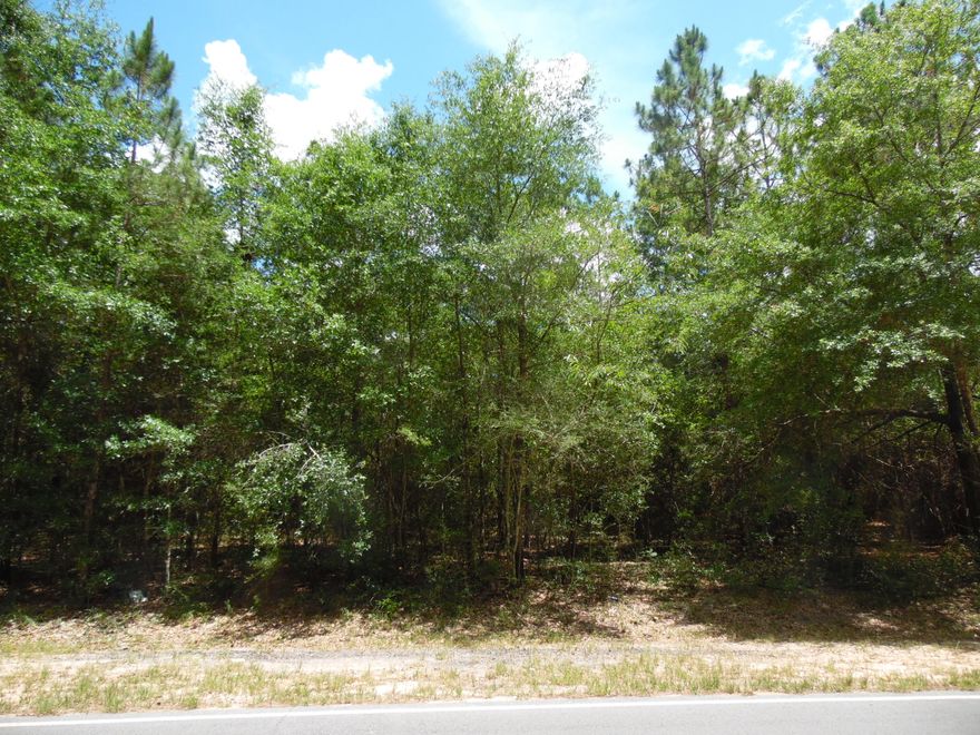 Corner lot, perfect to build your new home!High and dry, gentle slope would work possibly for a split level construction.