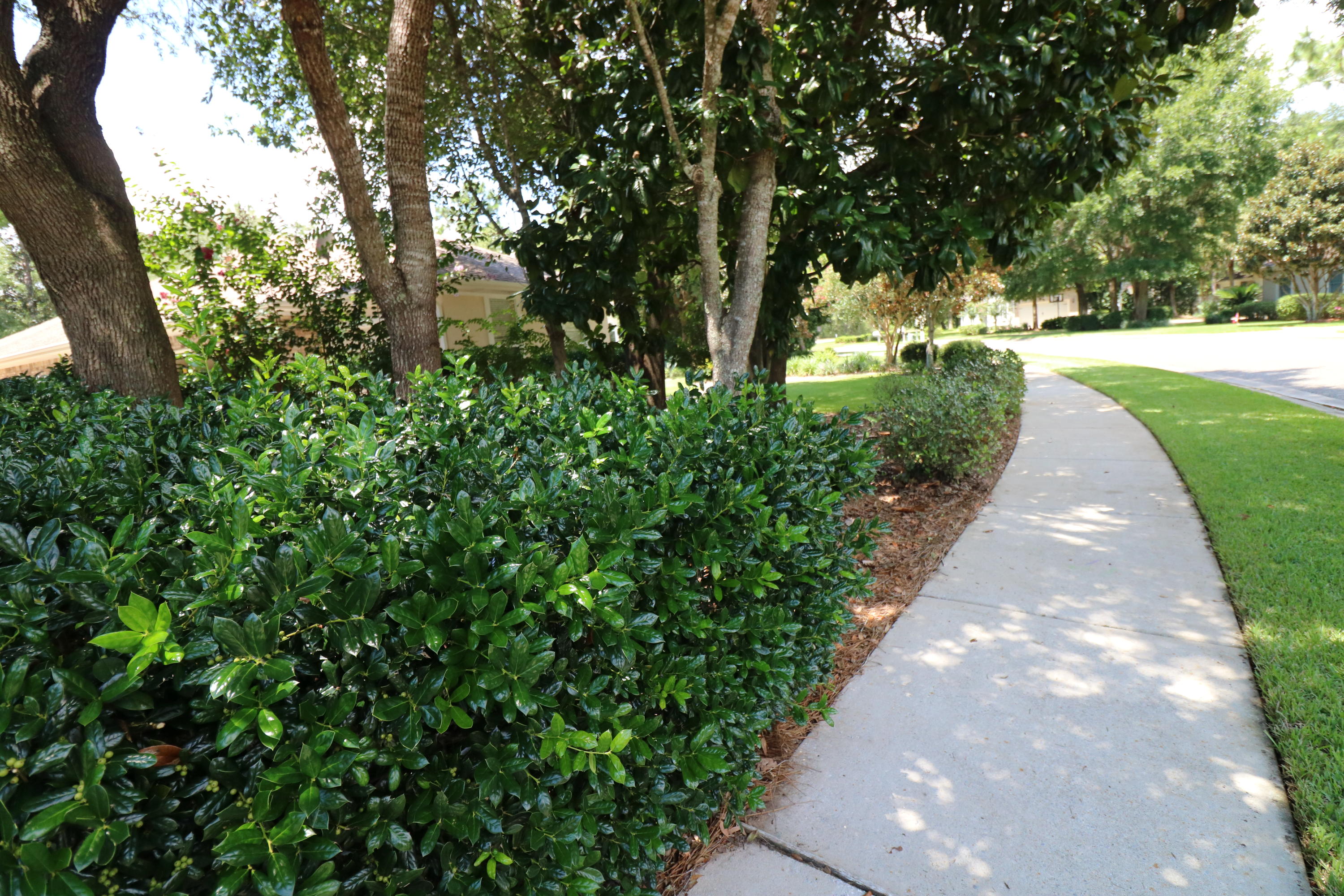 SWIFT CREEK PH 1 - Residential