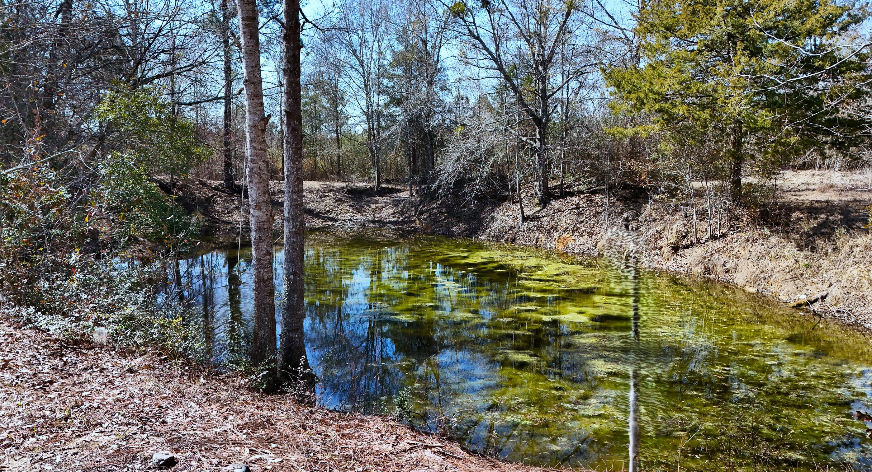 METES & BOUNDS - Land