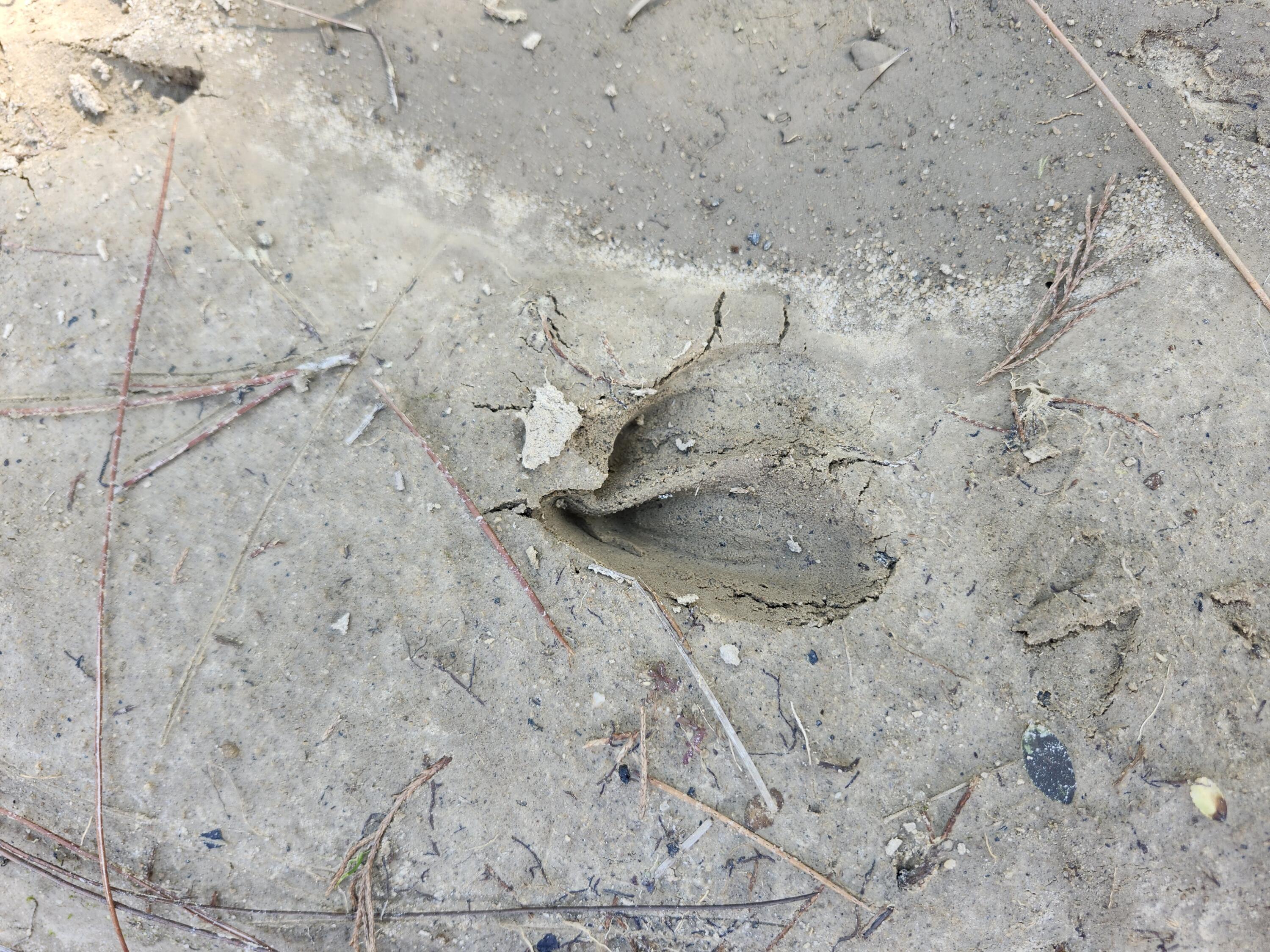 METES & BOUNDS - Land