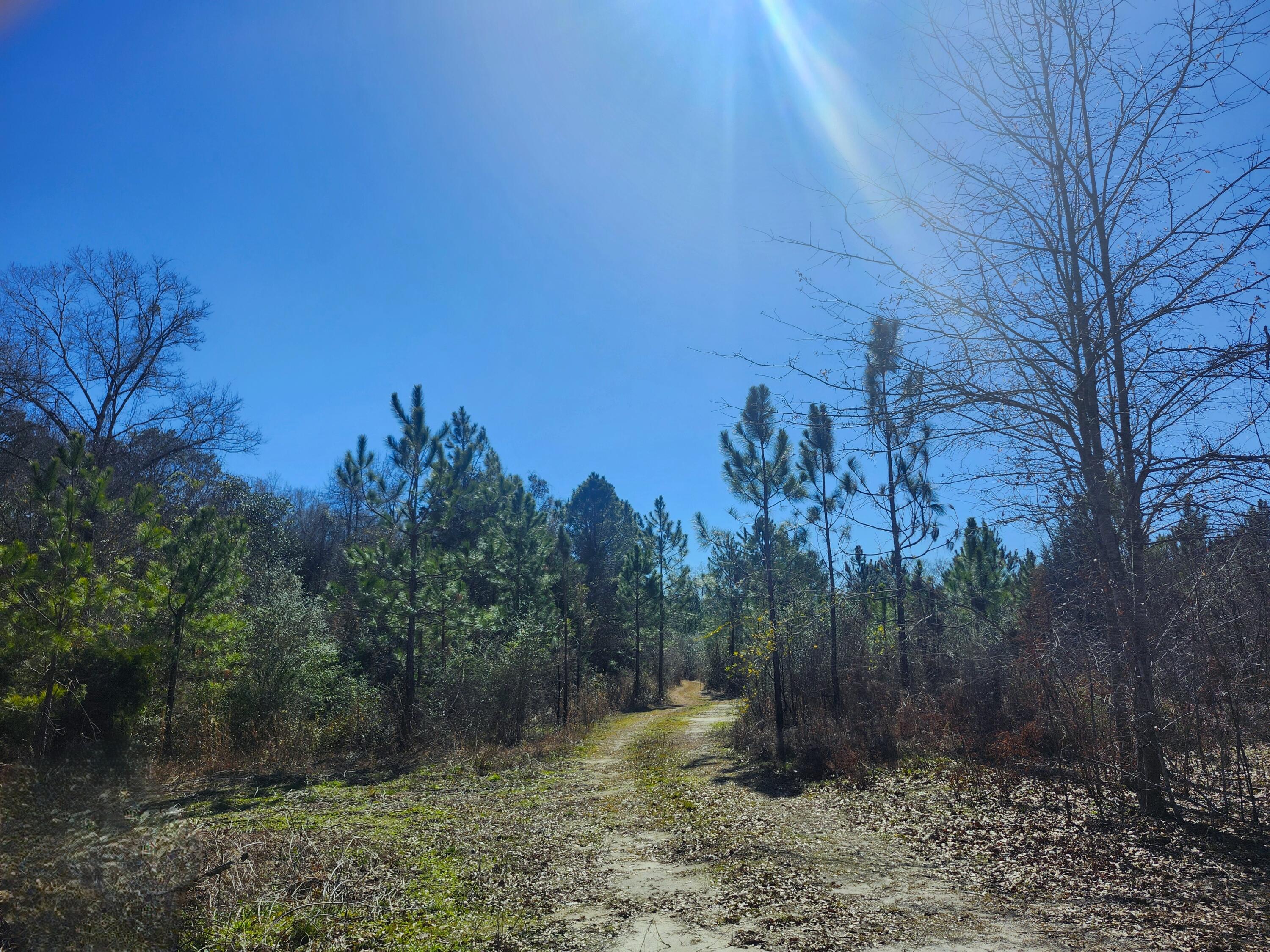 METES & BOUNDS - Land