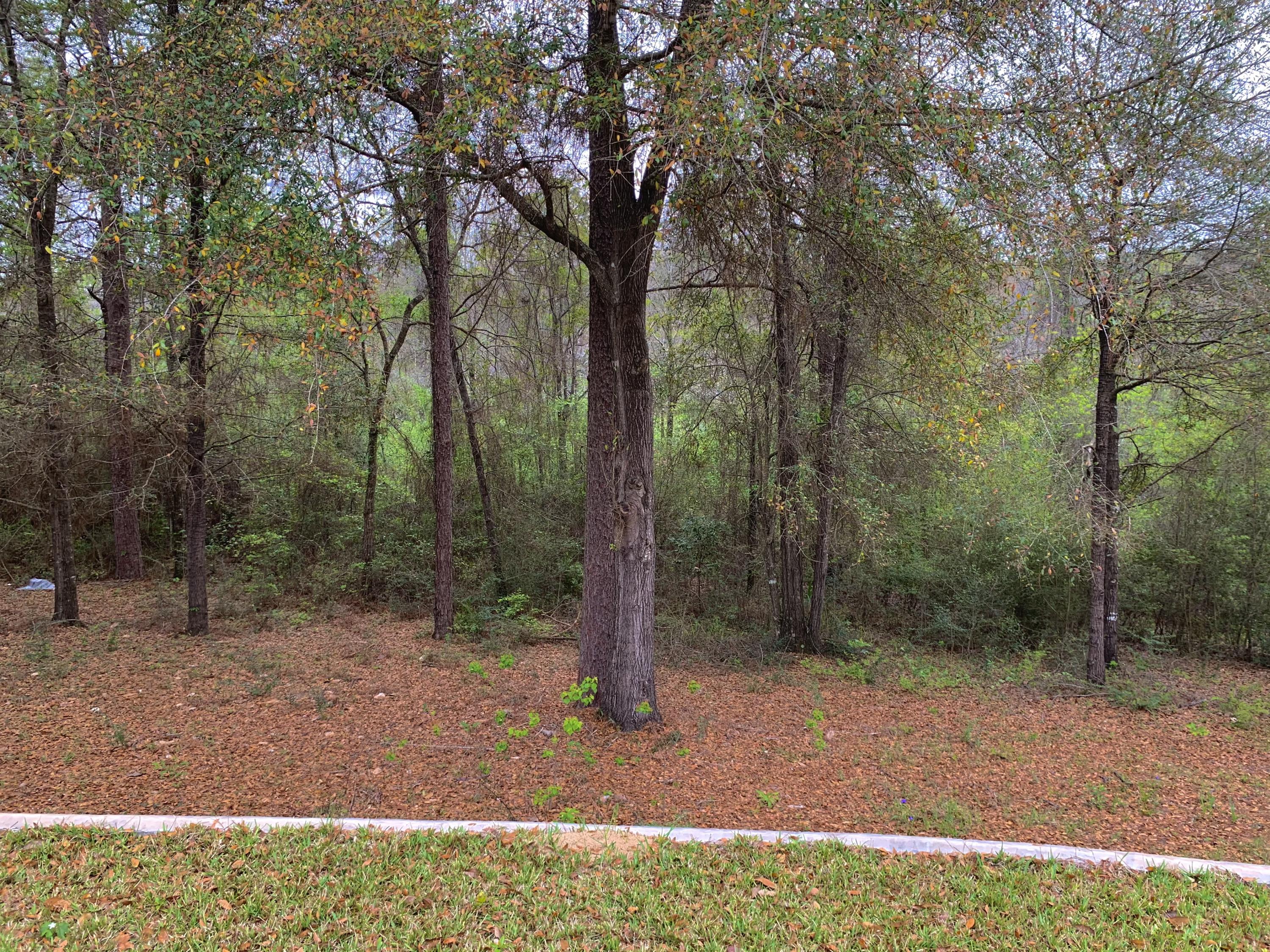 JERNIGAN S/D 2ND ADDN - Residential