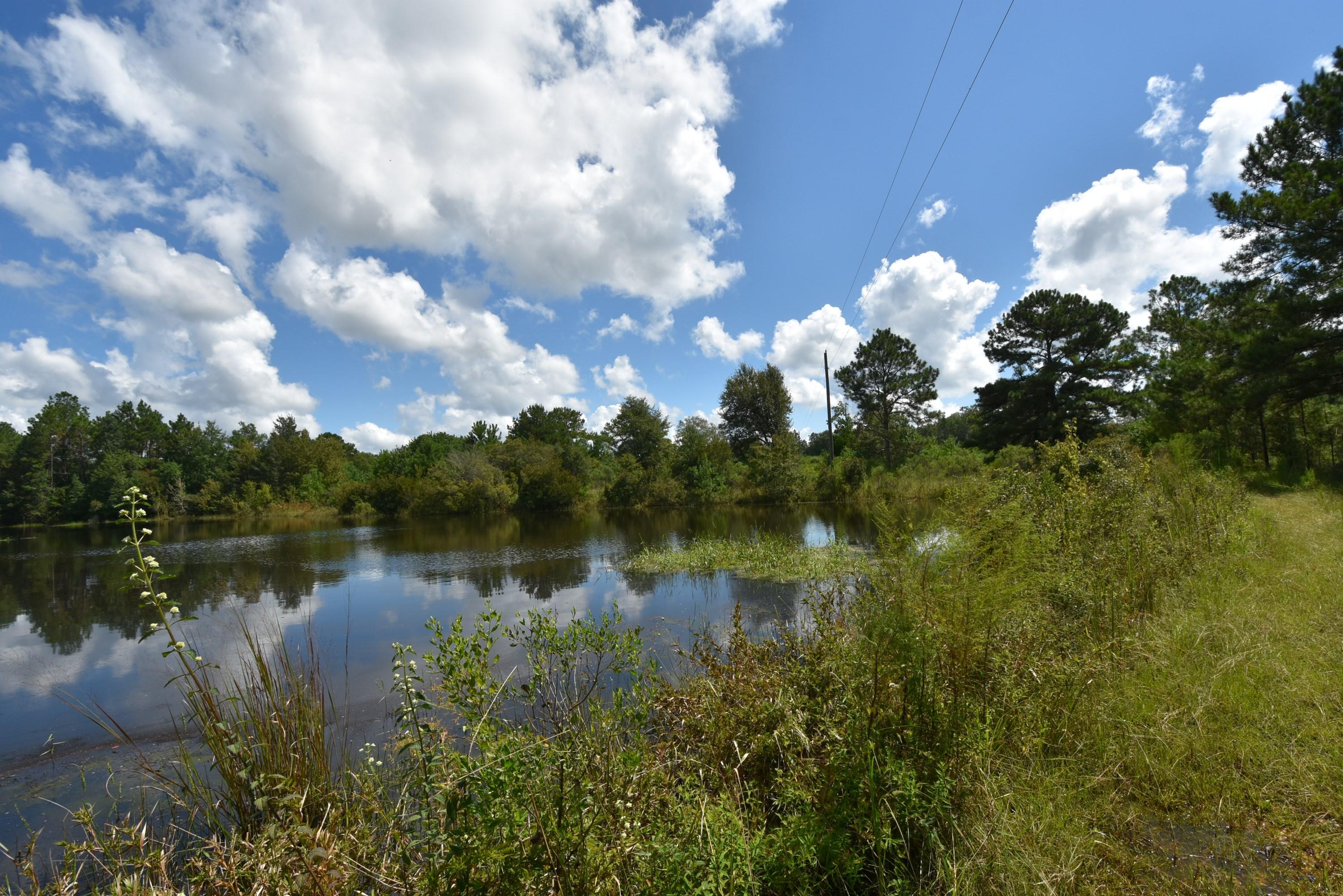 METES & BOUNDS - Farm