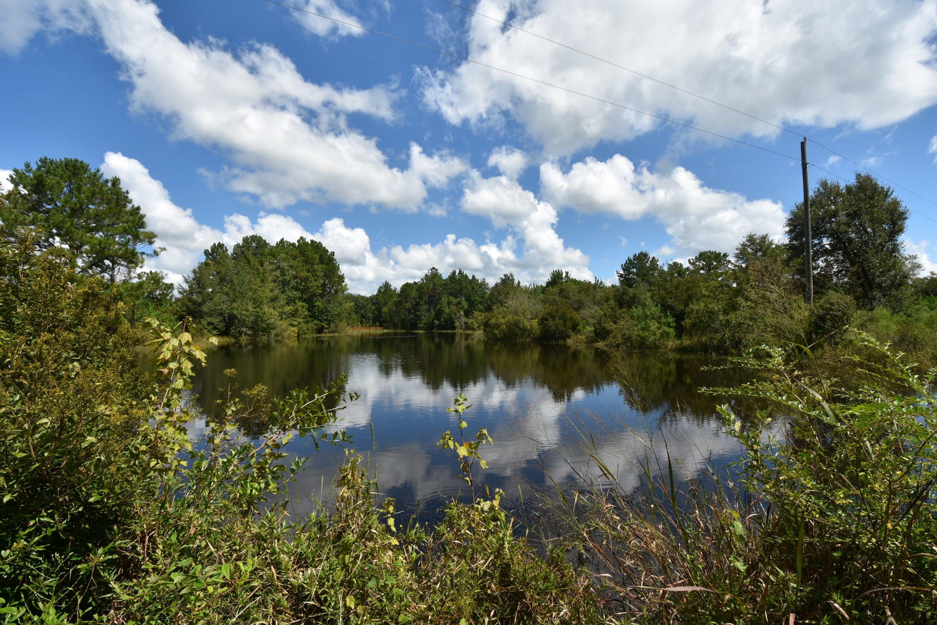 METES & BOUNDS - Farm