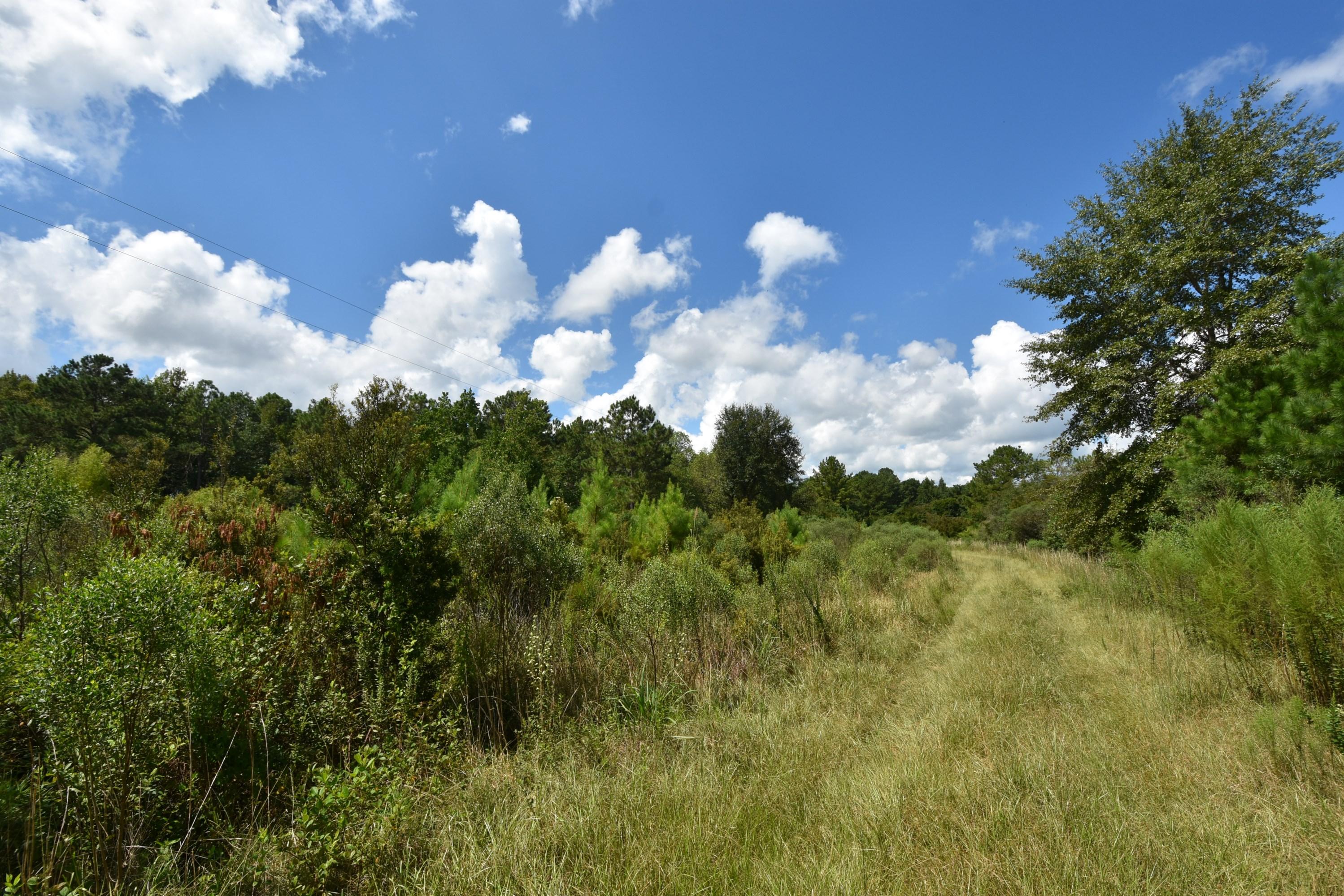 METES & BOUNDS - Farm