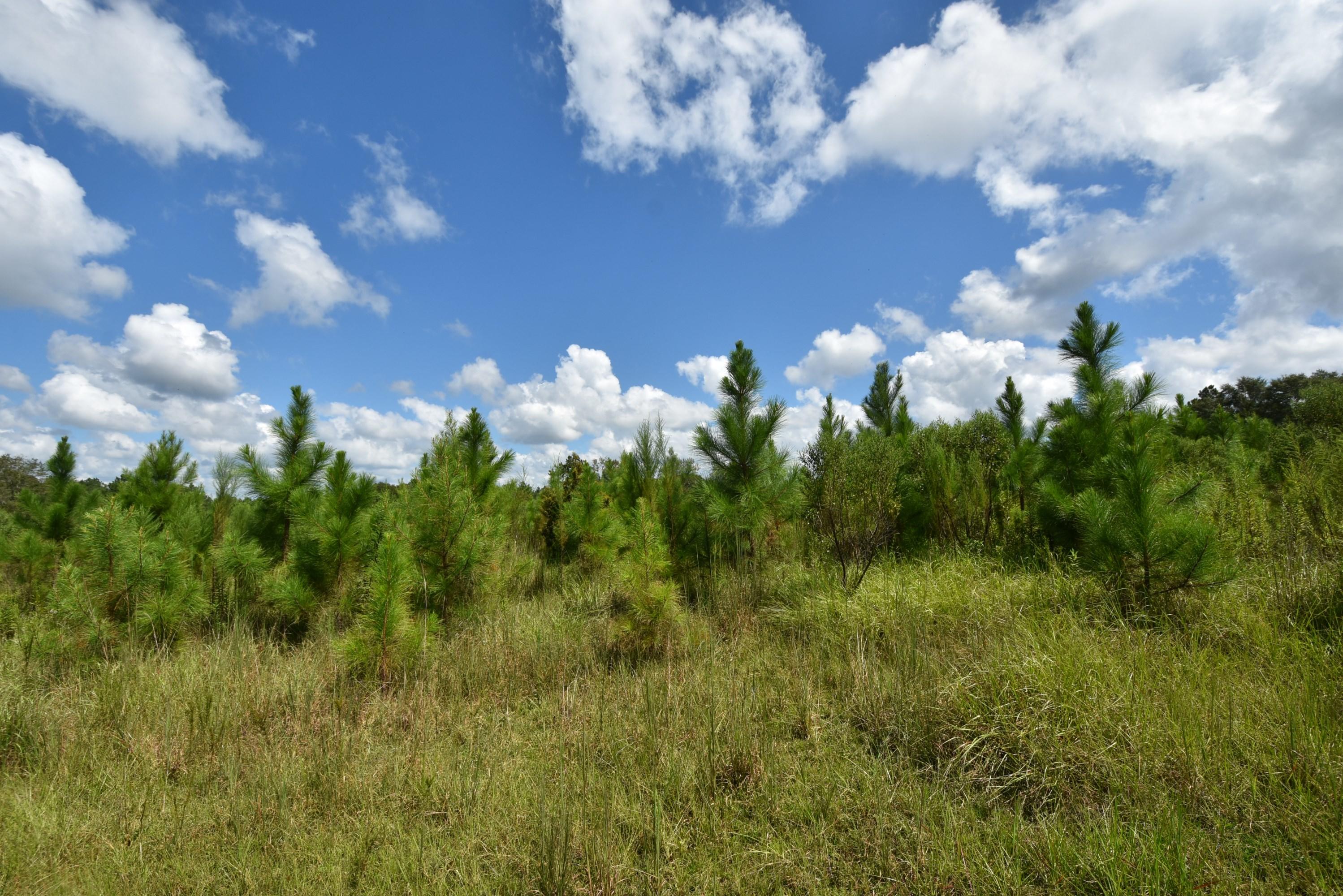 METES & BOUNDS - Farm