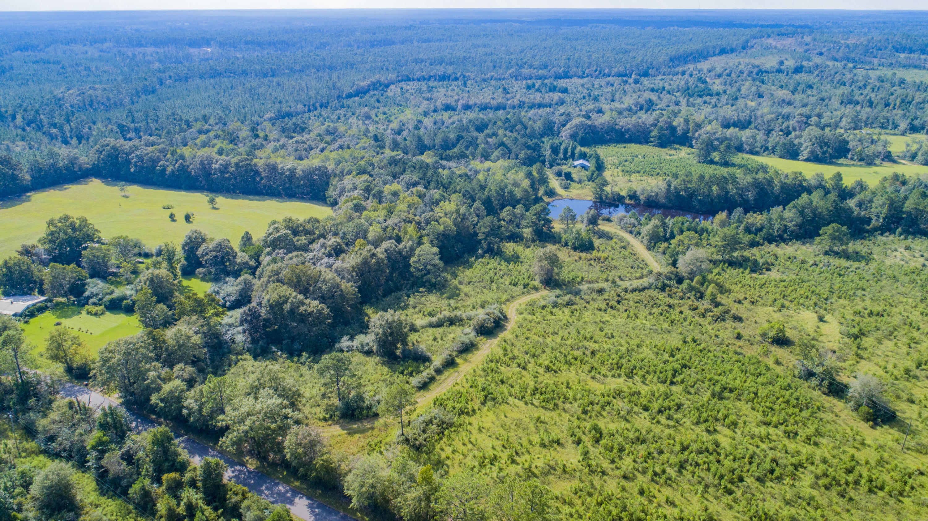 Gorgeous 55+/- AC with paved road frontage, Lake, Pond, and a Barn! High and Dry property has a spring fed Lake and located down the road from a few horse ranches. Planted pines on the property and located 3 miles South of the FL/AL State line. Enjoy peace and quite and bring your recreational vehicles to roam the land. Perfect weekend getaway to Camp, and build your home or weekend cabin! 2008 Mobile Home on the property has 1,200 sq.ft. with 3 bedrooms and 2 bathrooms.