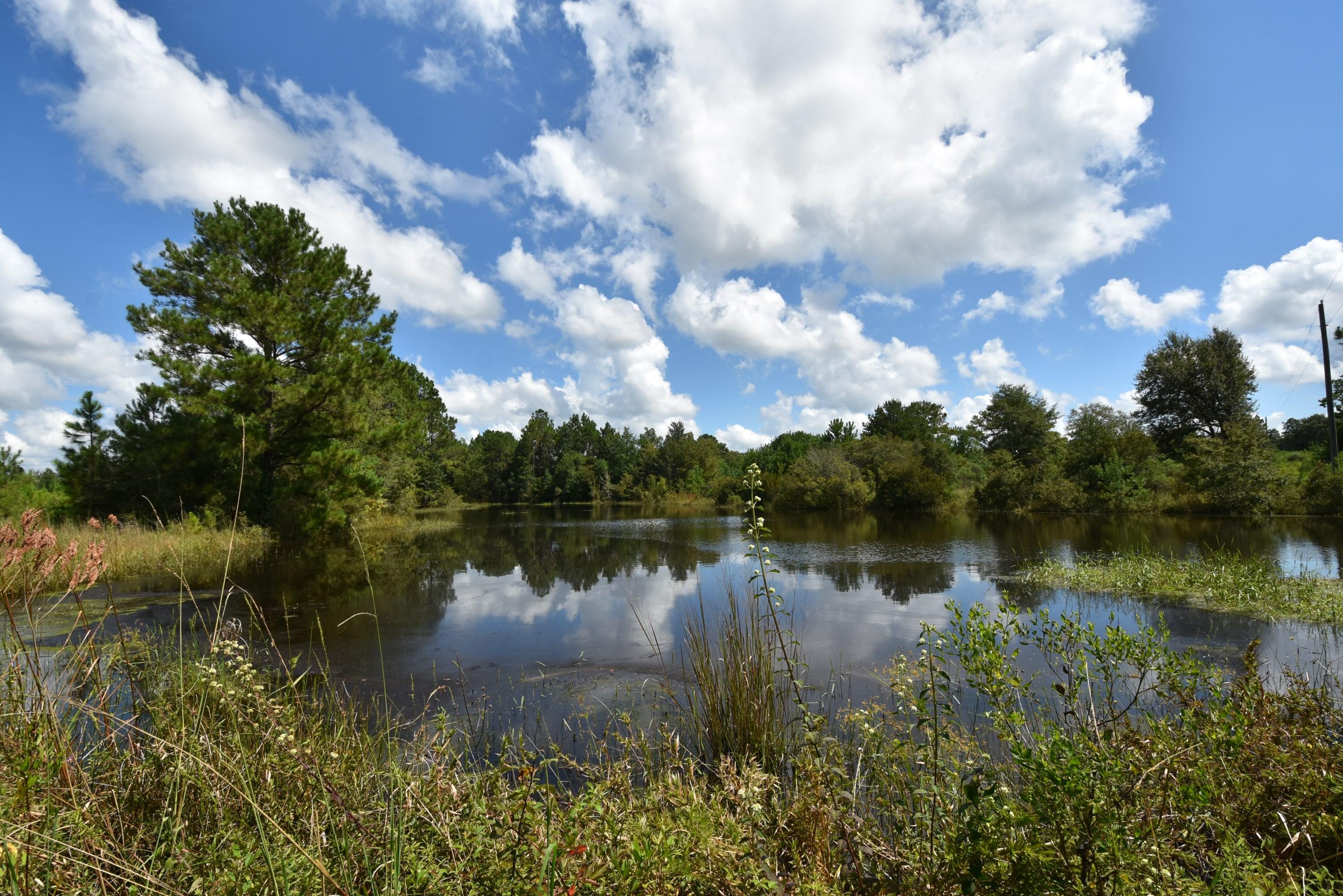 METES & BOUNDS - Farm