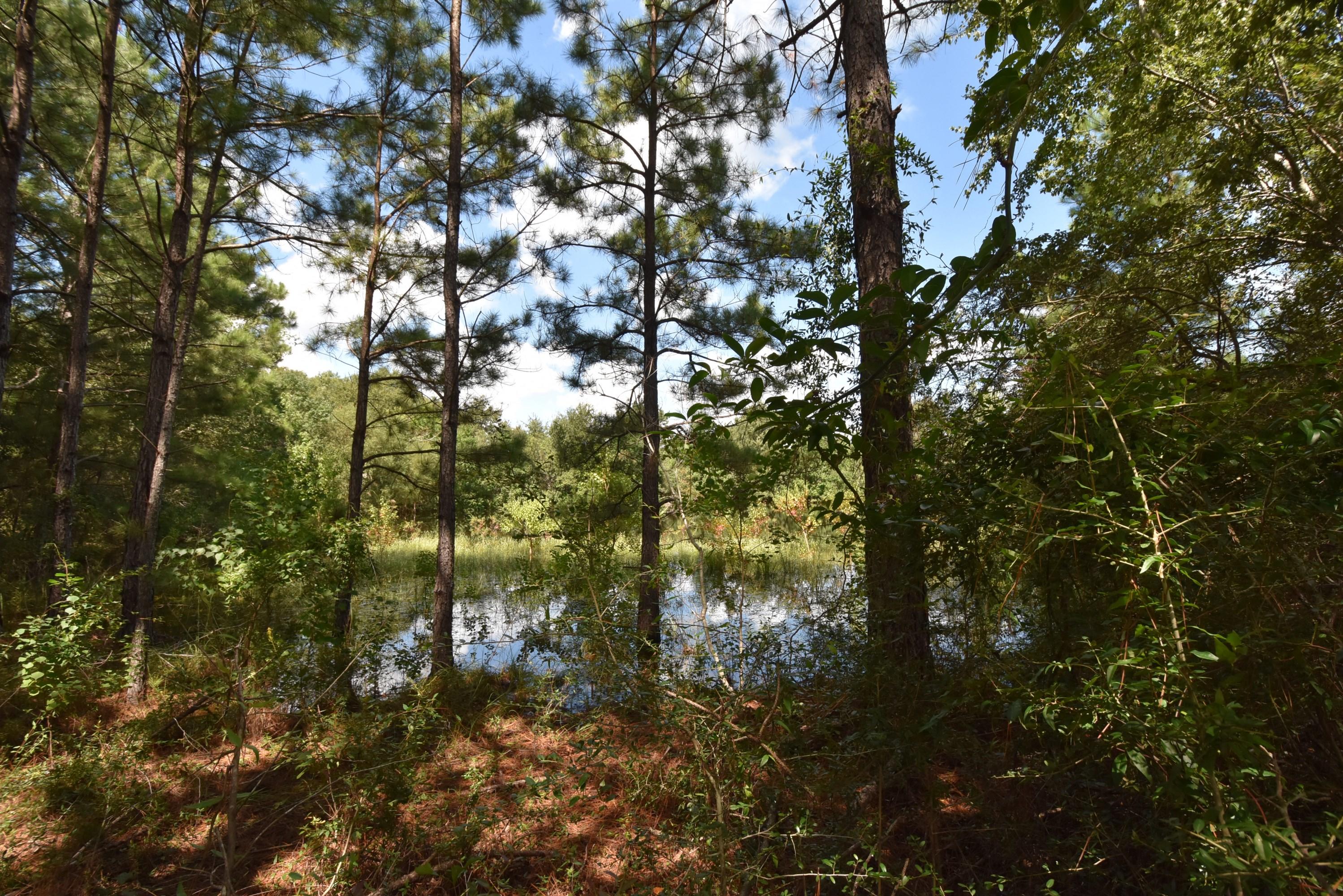 METES & BOUNDS - Farm